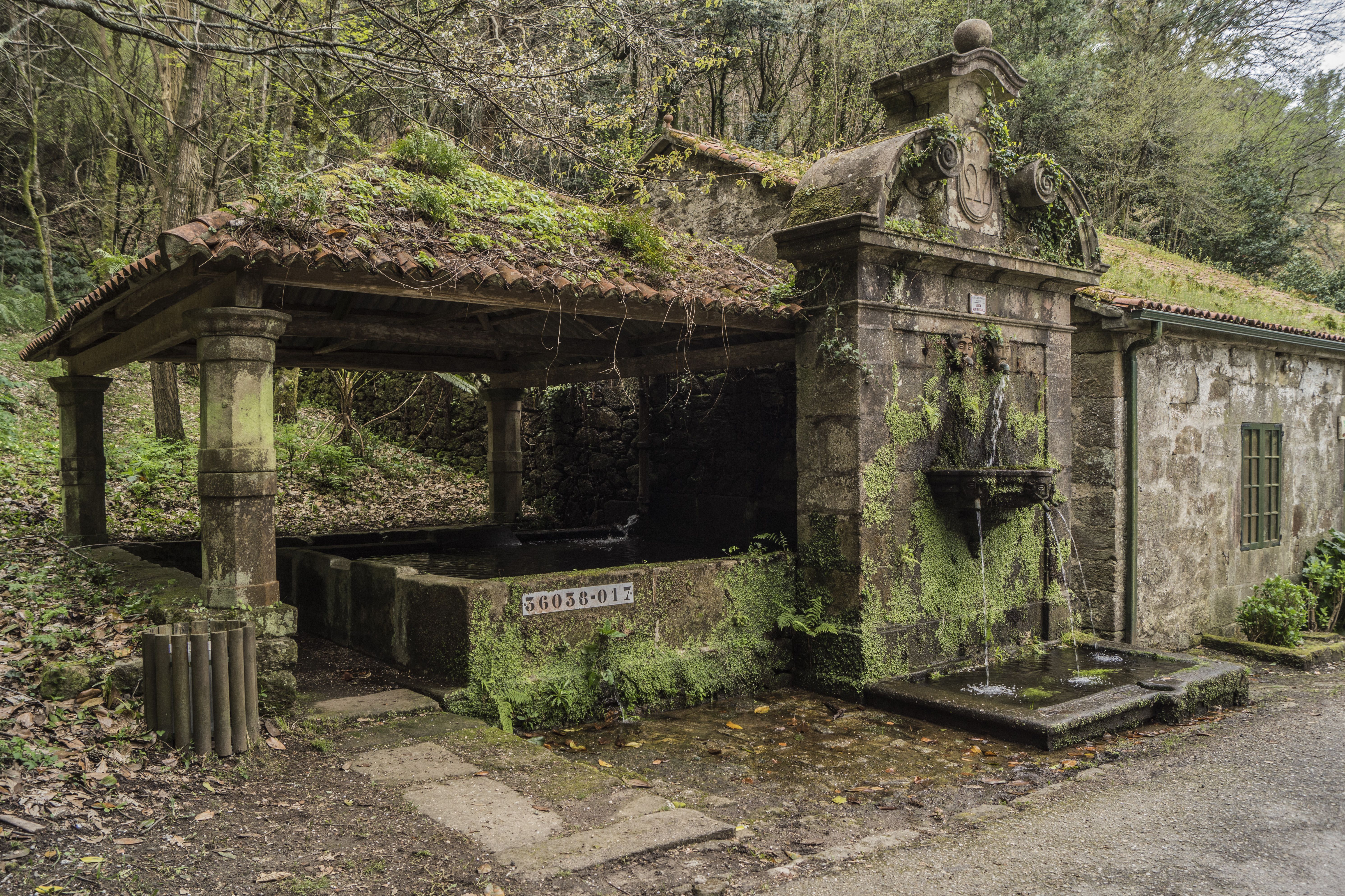 Jardines en Pontevedra para disfrutar de naturaleza y serenidad