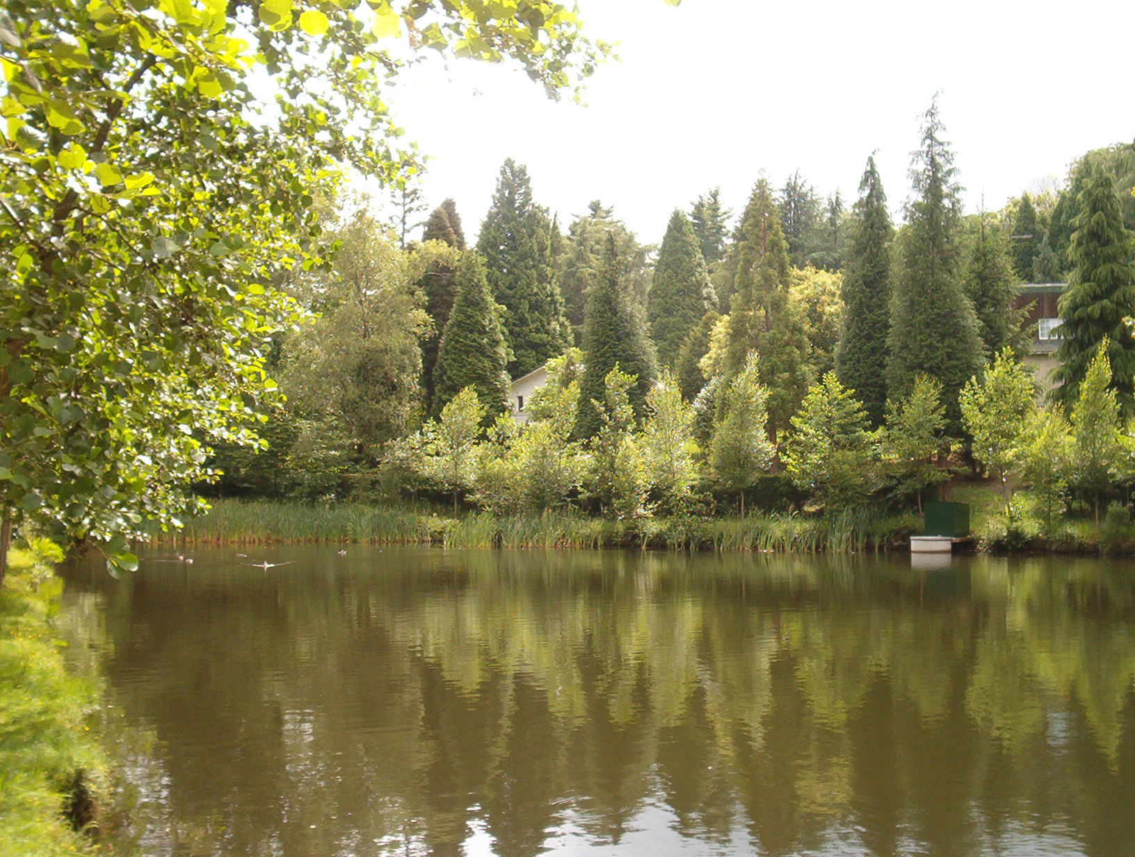 Parque Natural Lago Castiñeiras, por Sasa72