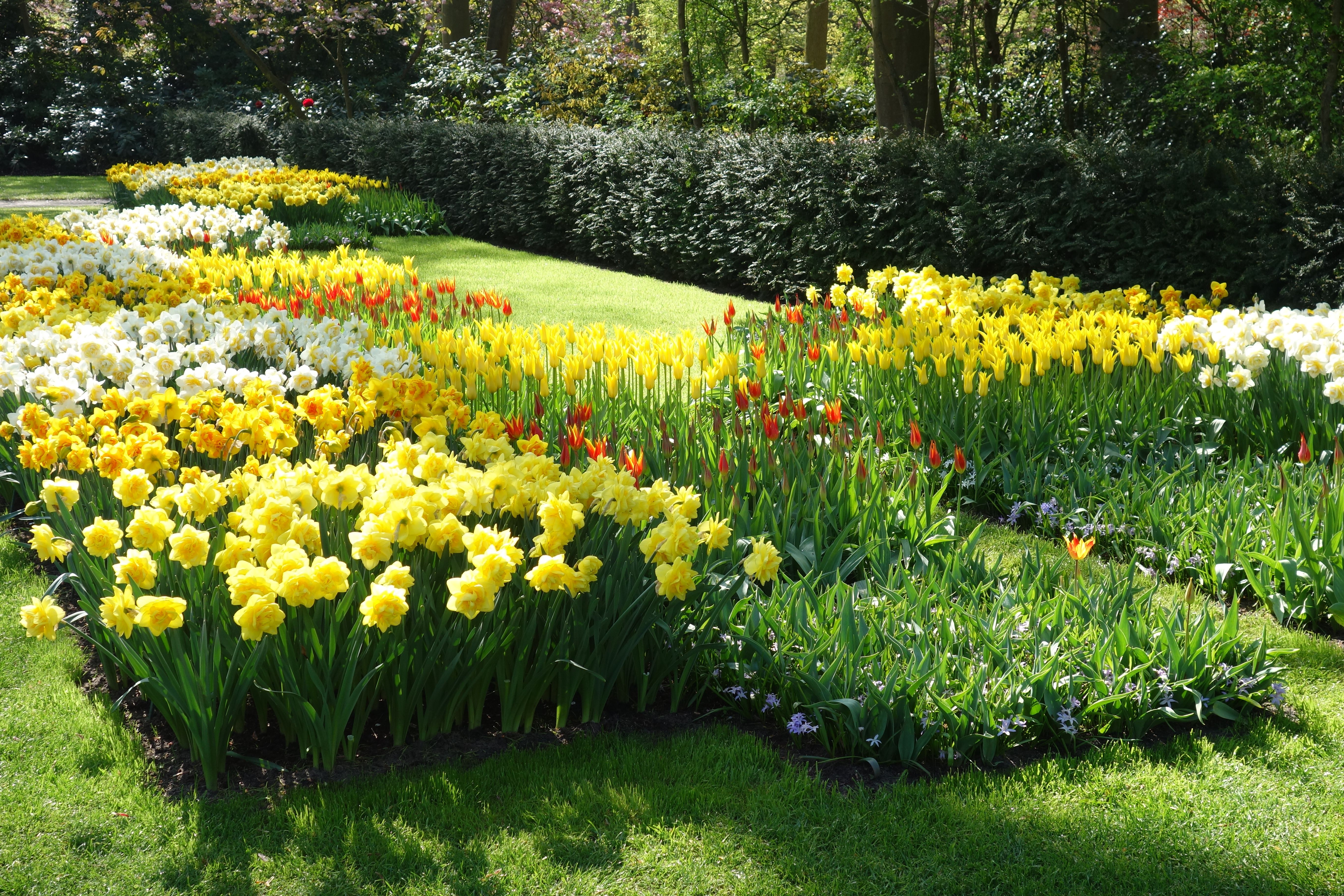 Jardines en Holanda que deslumbran con su belleza y encanto natural