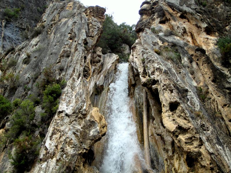 La Cascada de los Árboles Petrificados en Lentegí: 1 opiniones y 2 fotos