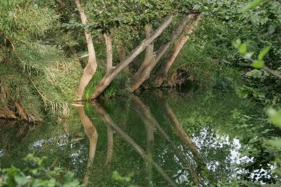 El Clot de la Mare de Déu, por BurrianaTurismo