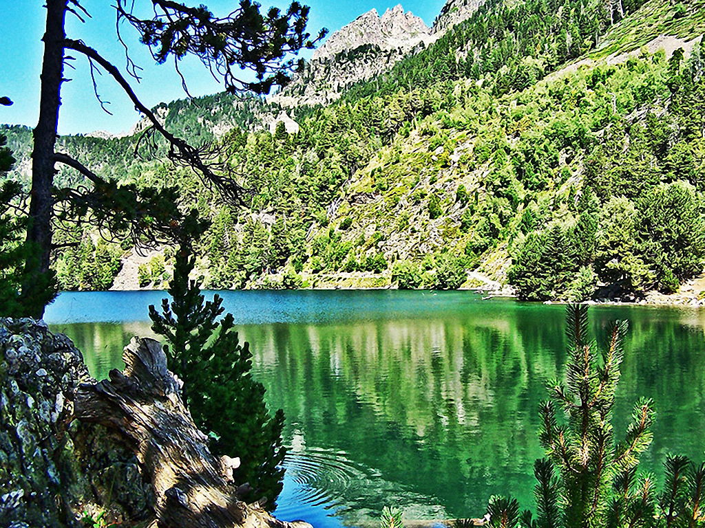 Parque Natural Aigües Tortes, por Alejandro Sans
