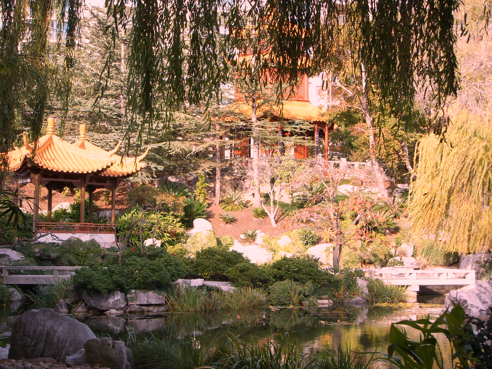 Jardin Botanico Japones, por Stephanie 