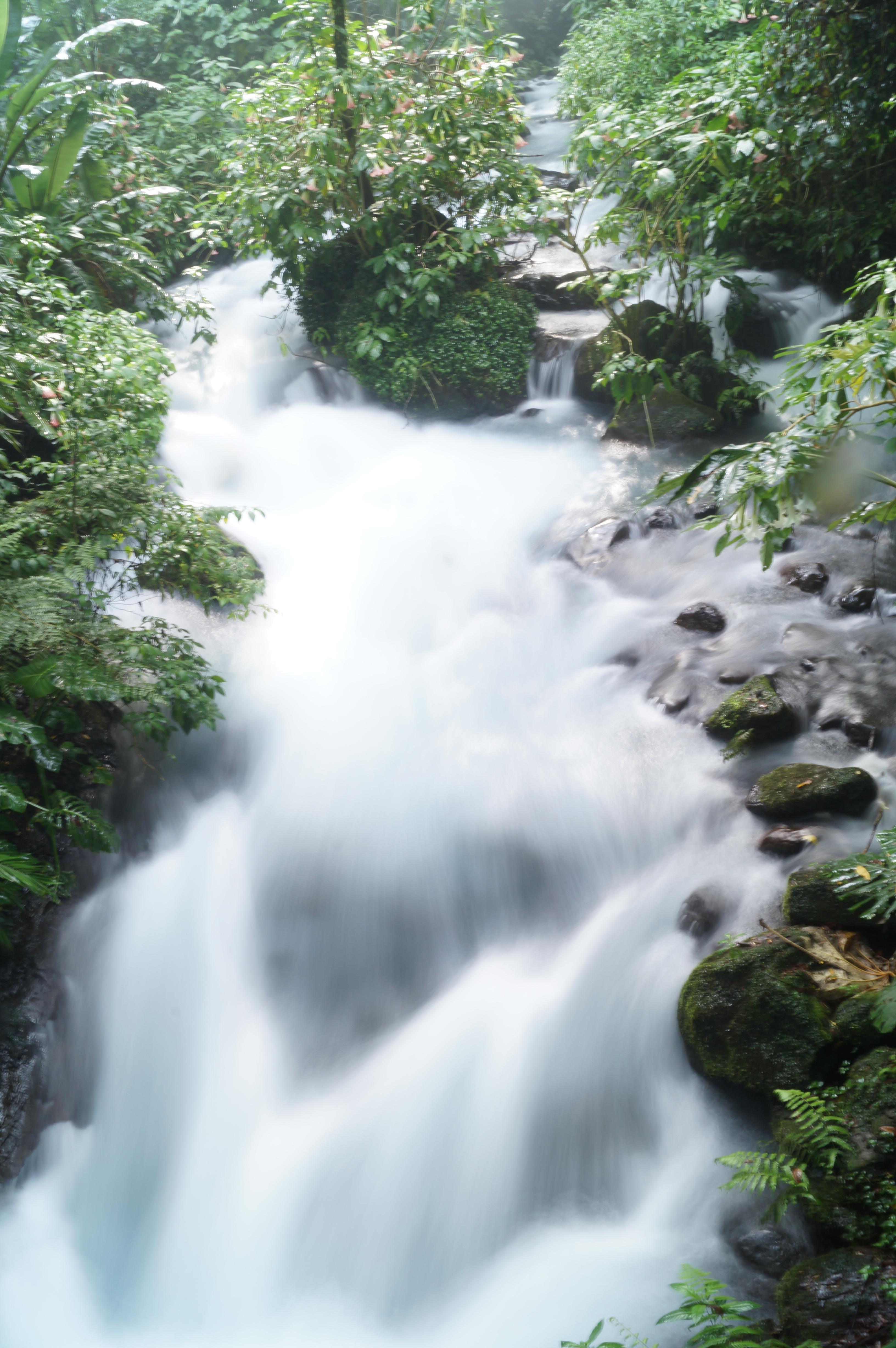 Parque Nacional Barranca del Cupatitzio, por Laura Muñoz