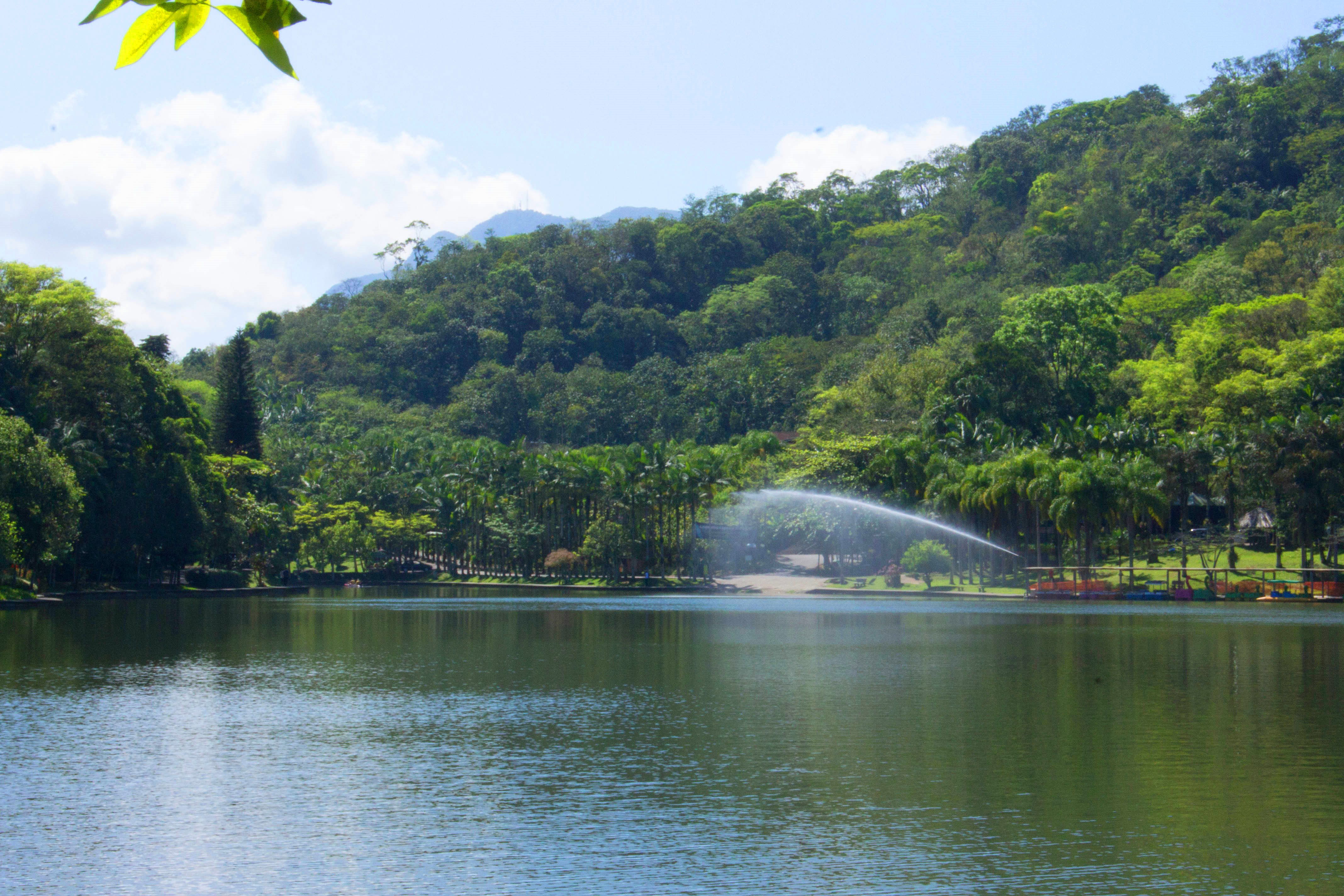 Parque Malwee, por Kari Schellemberg