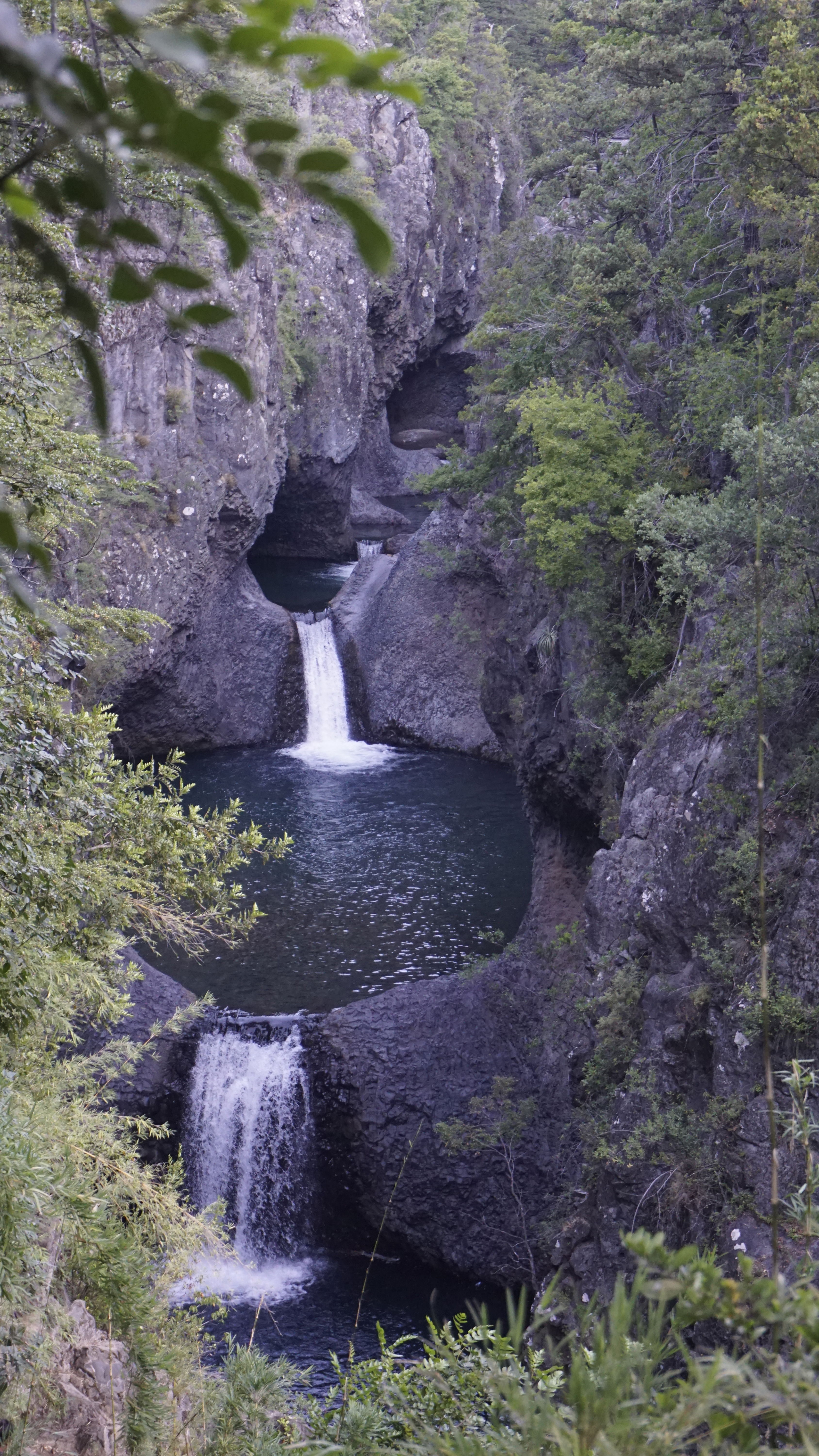 Reservas naturales en Maule que invitan a la aventura y la exploración