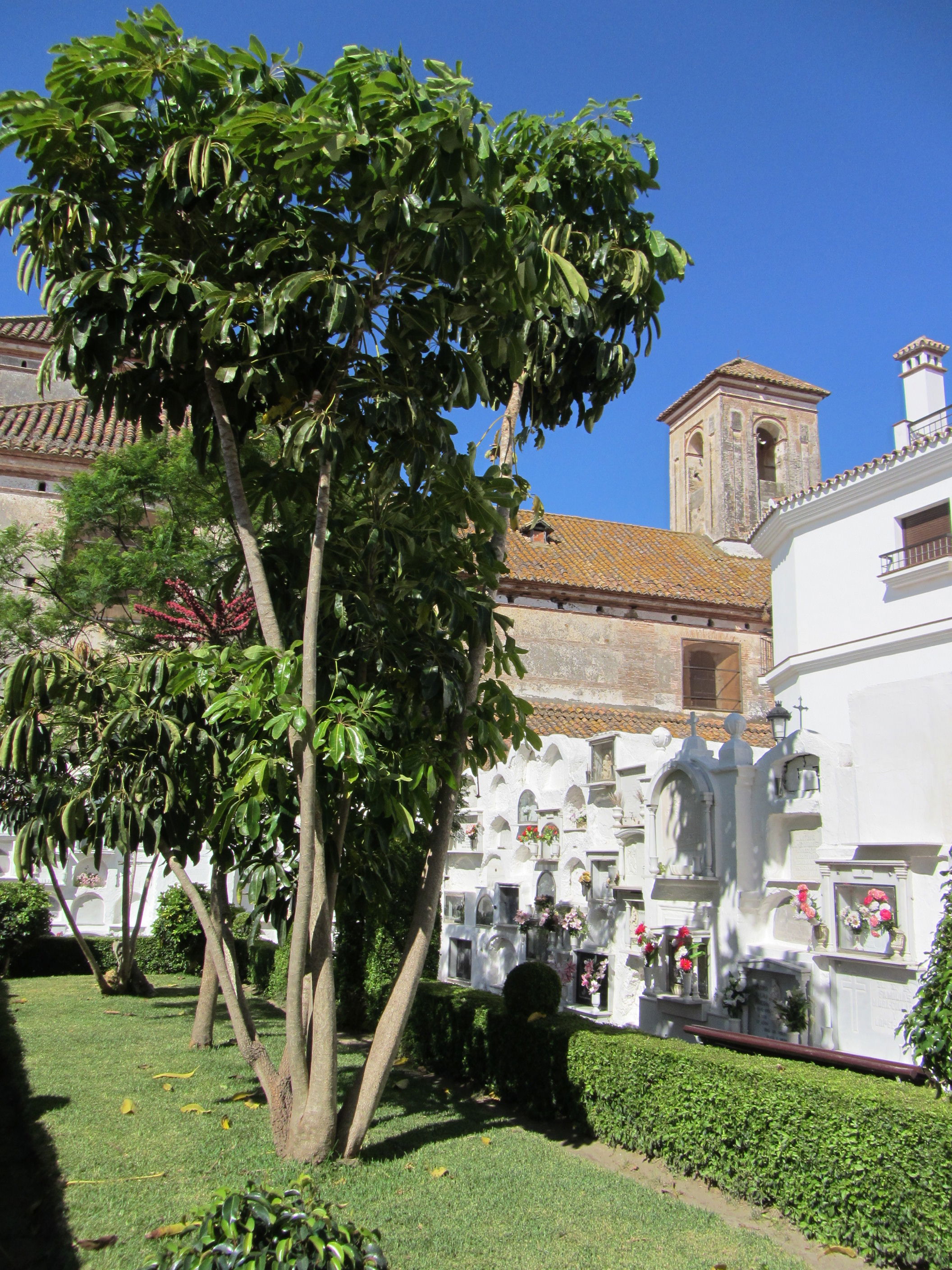 Antiguo cementerio de Manilva, por Elenahispalis