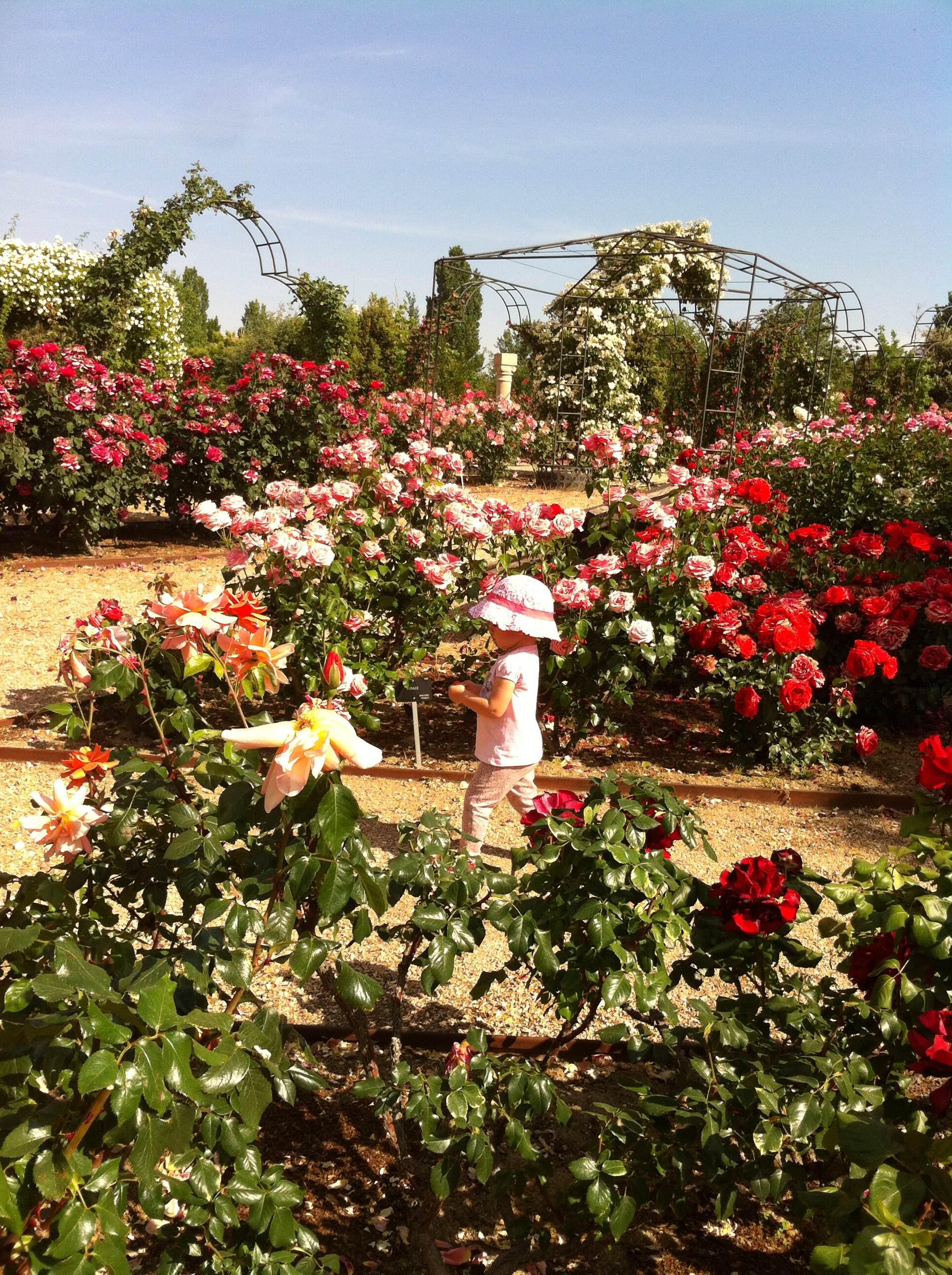 Jardín Botánico Juan Carlos I, por lamaga