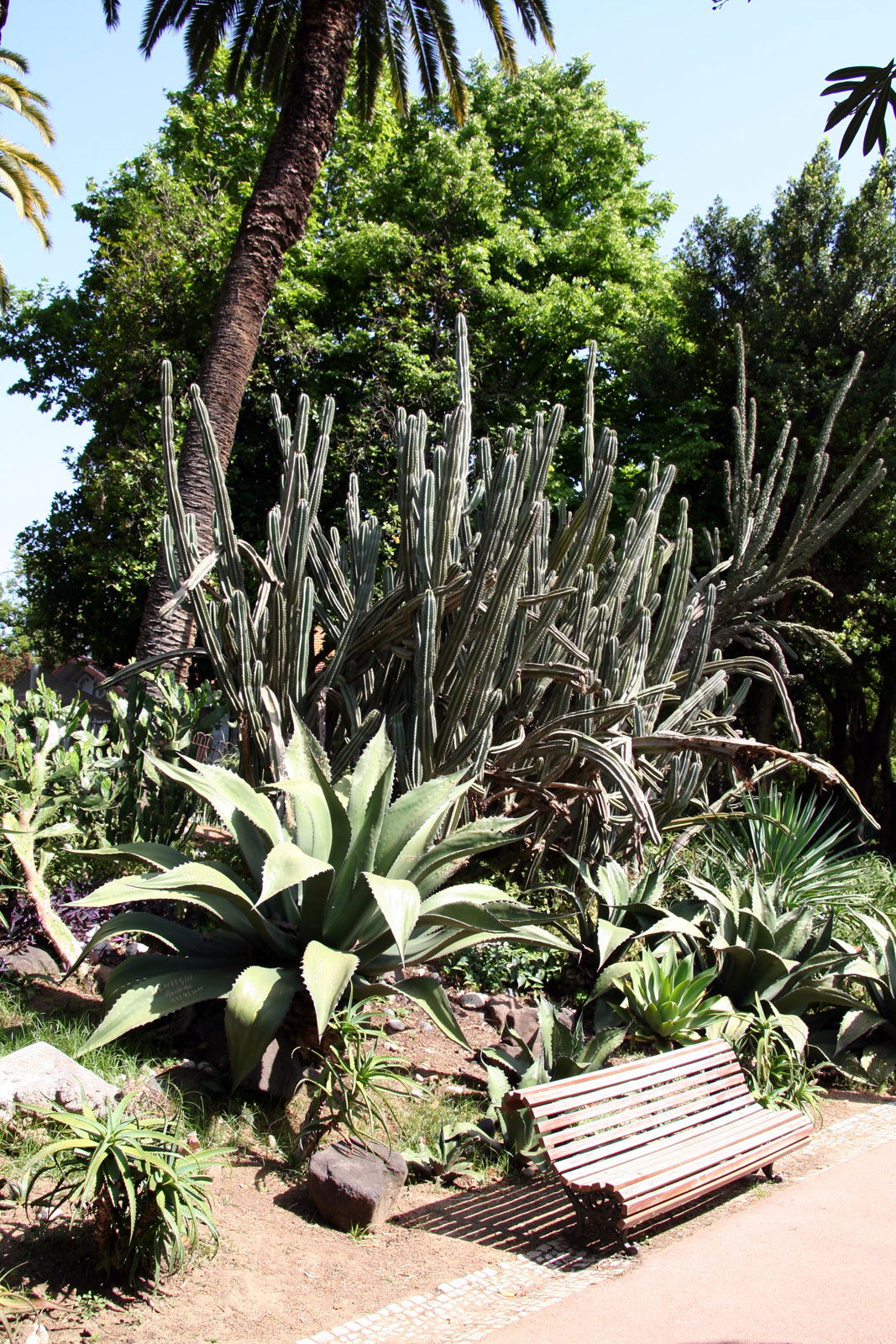 Jardim da Estrela, por Sergio
