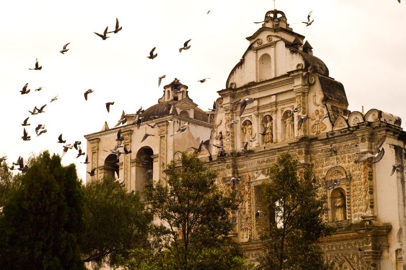 Parque Centroamérica, por Sebastian Muñoz Ruiz Esparza