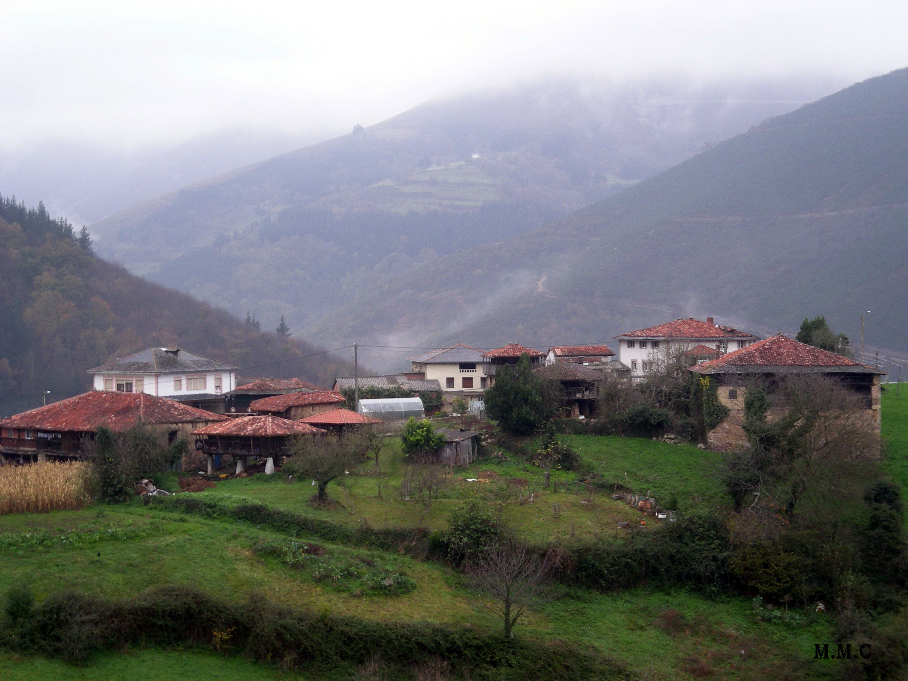 Tineo, por Mila Mesa Cano