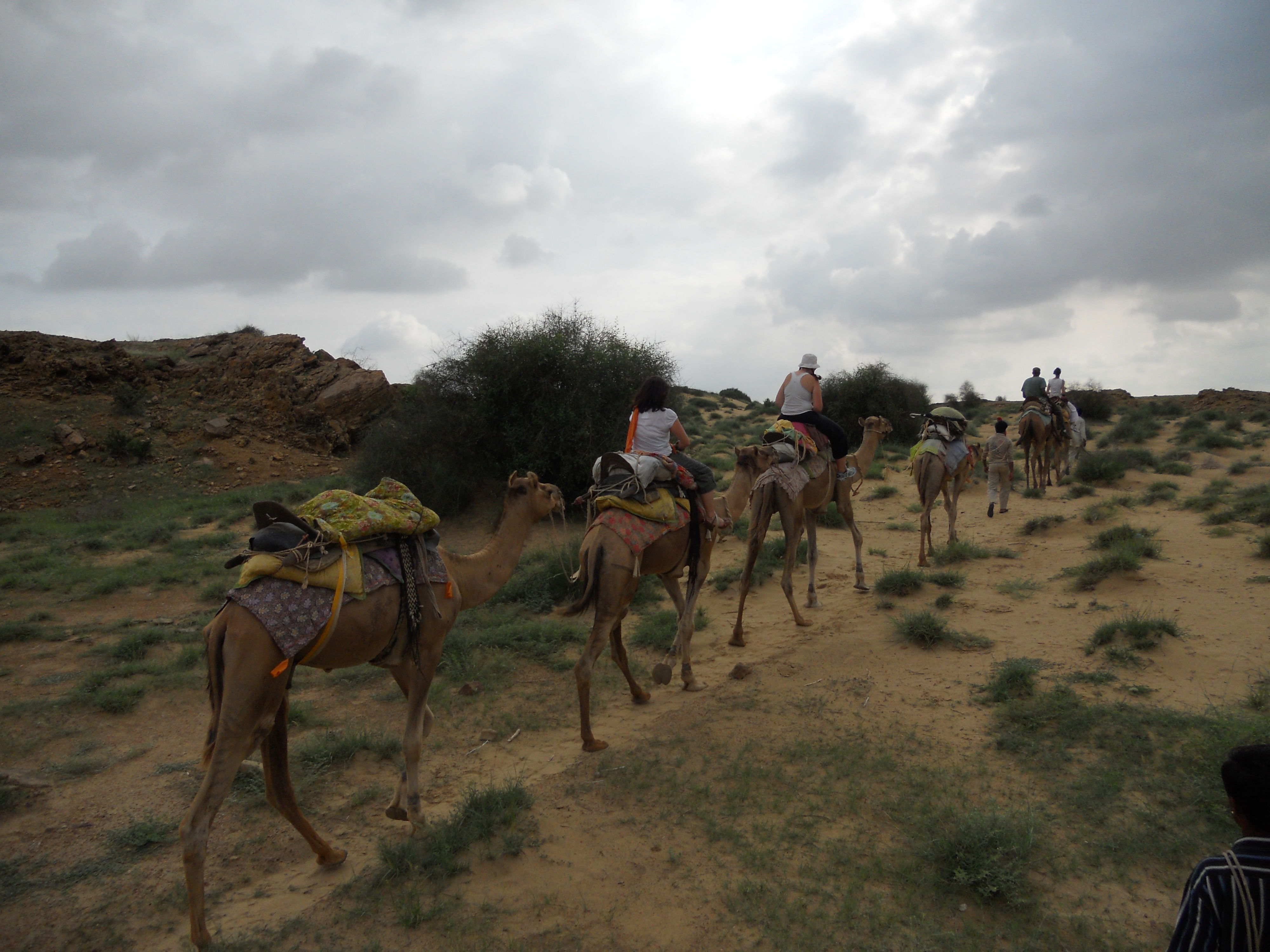 Safari en camello, por Coline