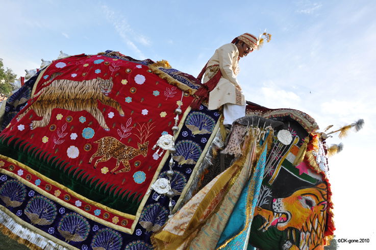 Festival de los Elefantes, Jaipur, India, por Sophie & Yannick