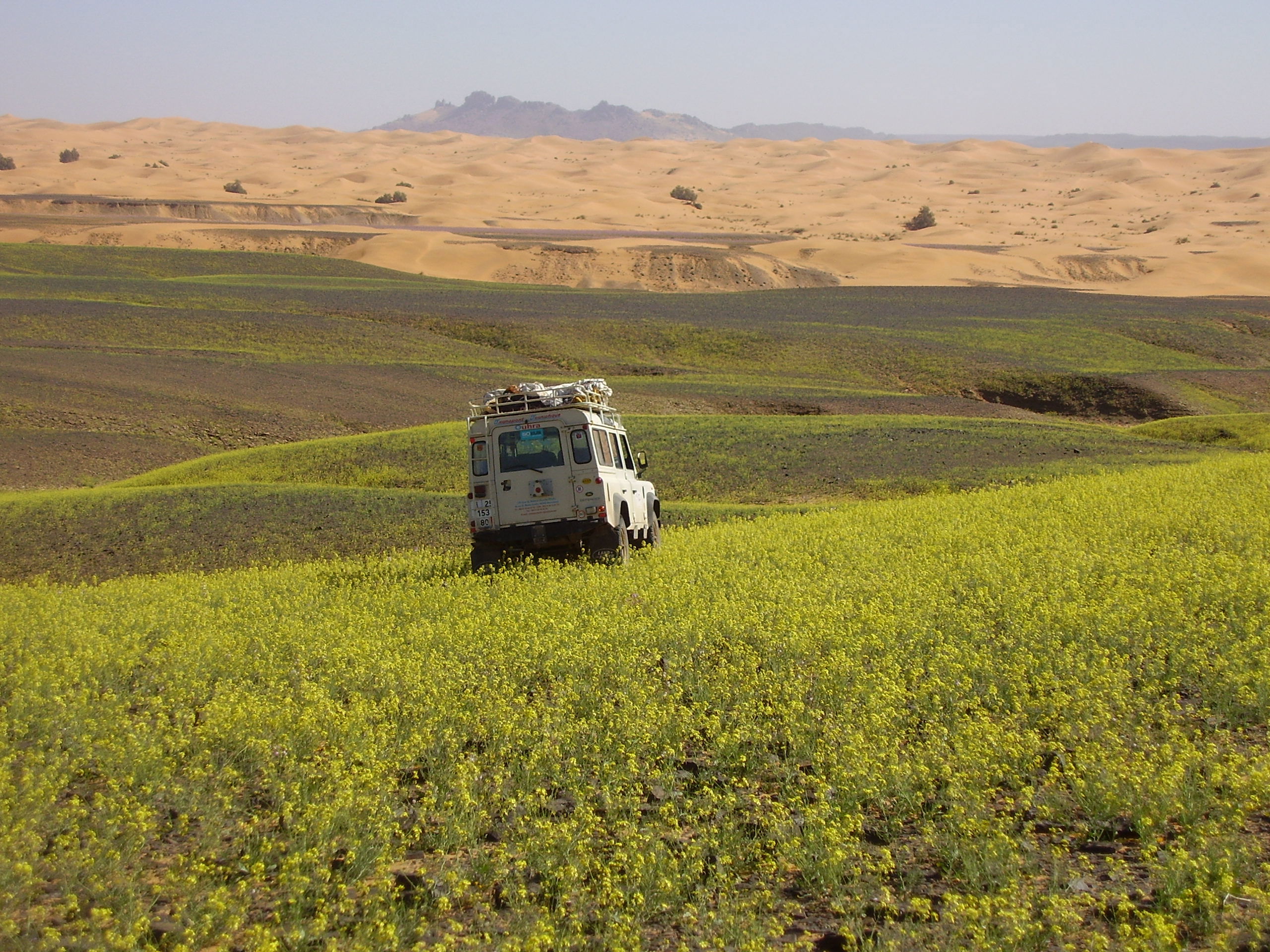 Valle de las rosas, por trekking au maroc
