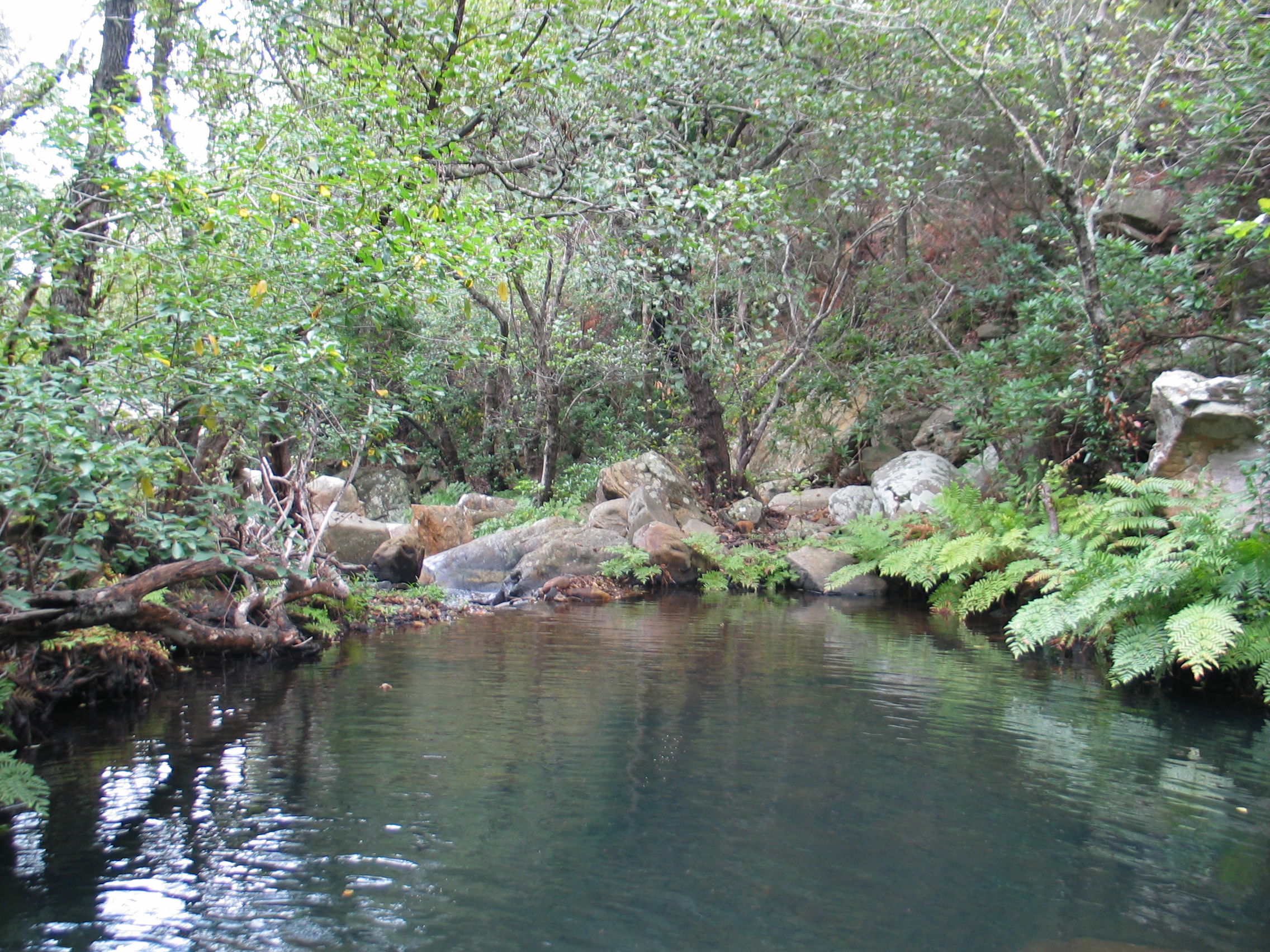 Parque Natural de Los Alcornocales, por Bernardo Mazo Serrano