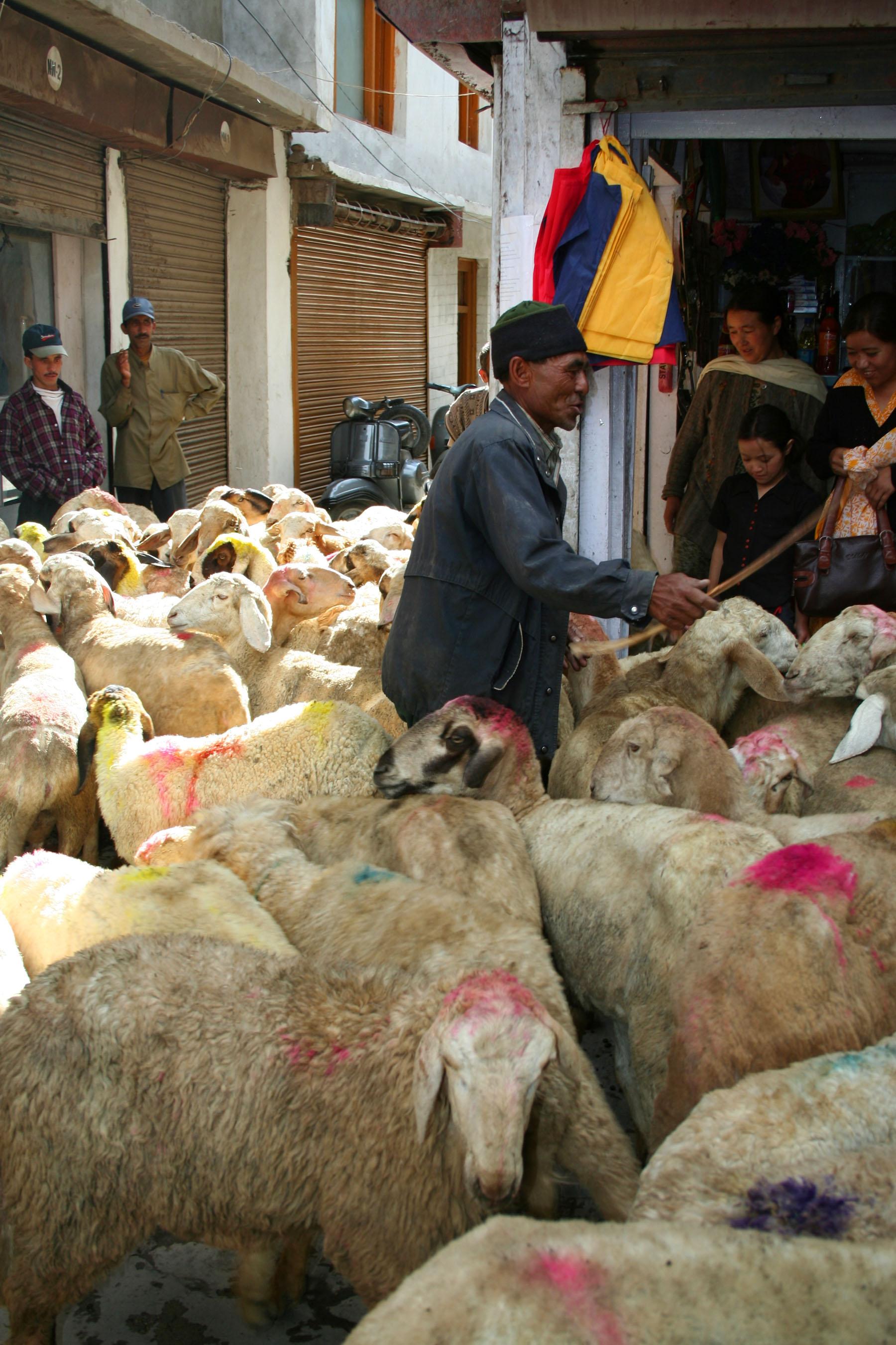 Leh (zona vieja), por GERARD DECQ