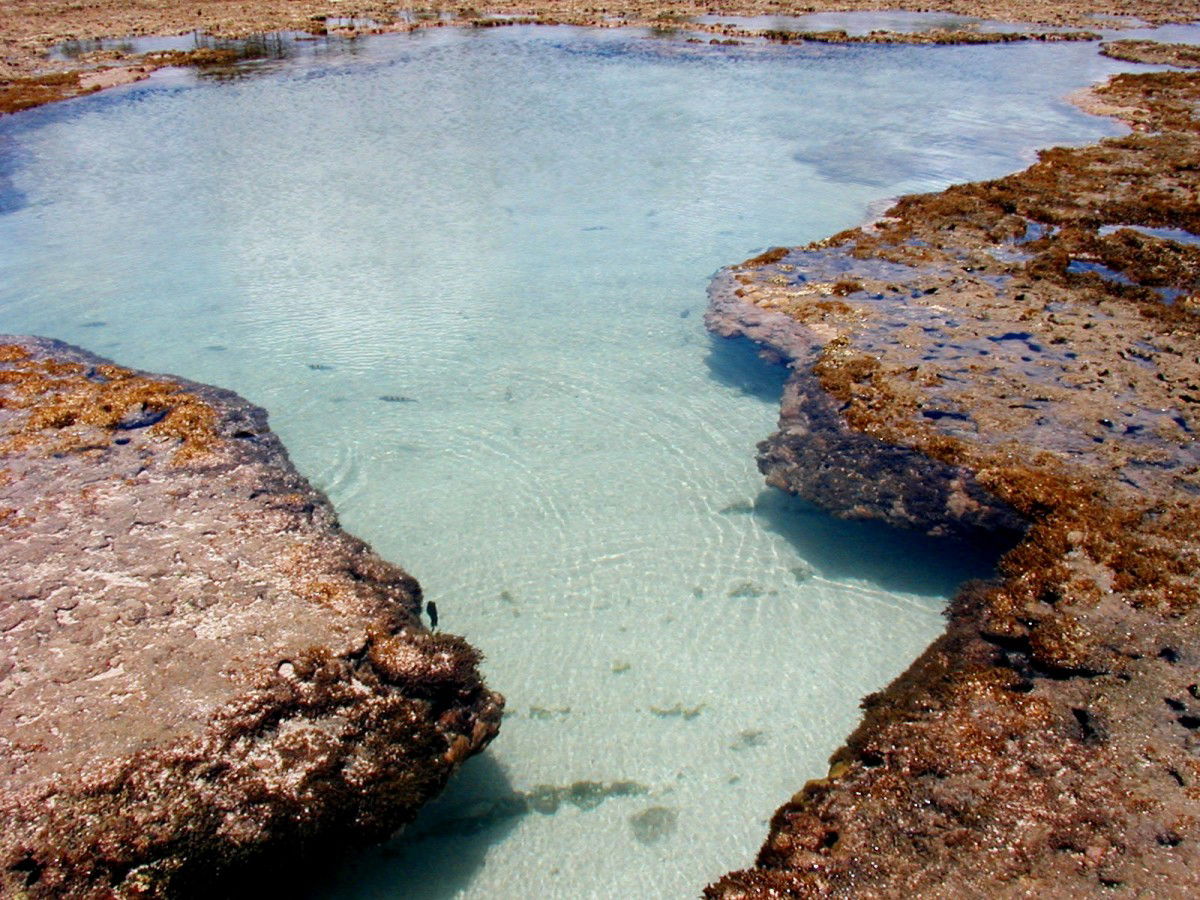 Piscinas Naturales de Porto de Galinhas, por macgreg