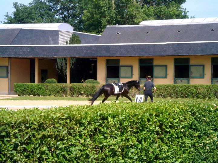 Escuela de Caballería, por Leo