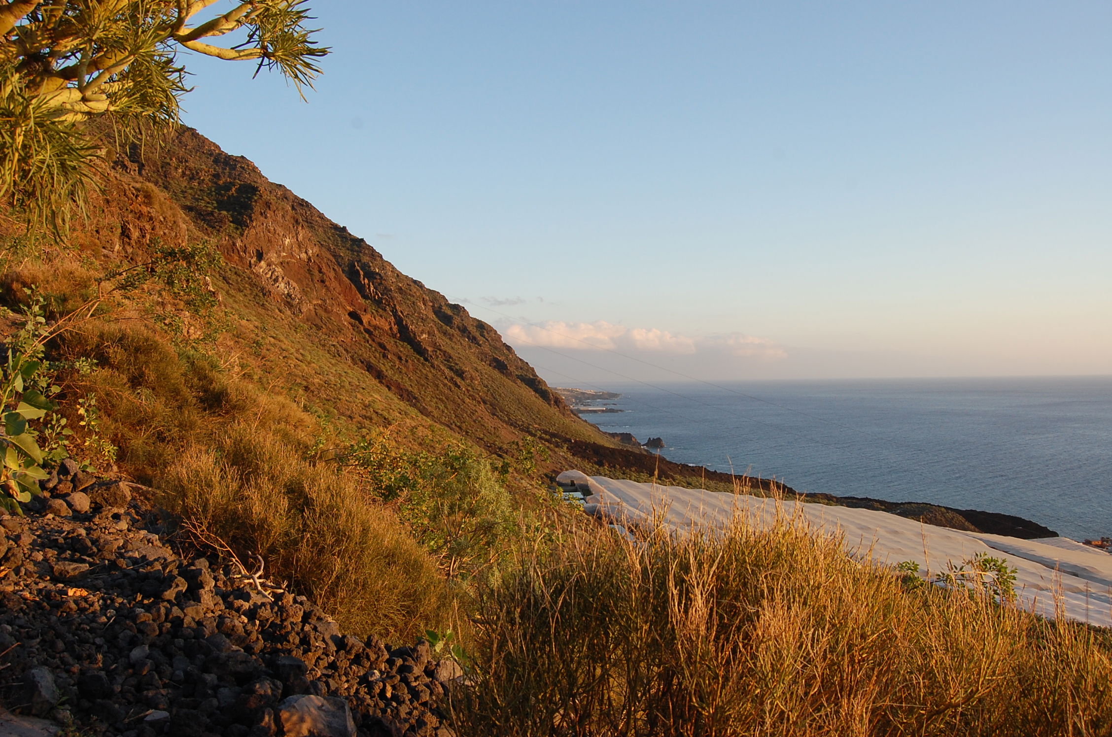 Sendero Jedey - El Remo, por Estela Lull (Hatsue)