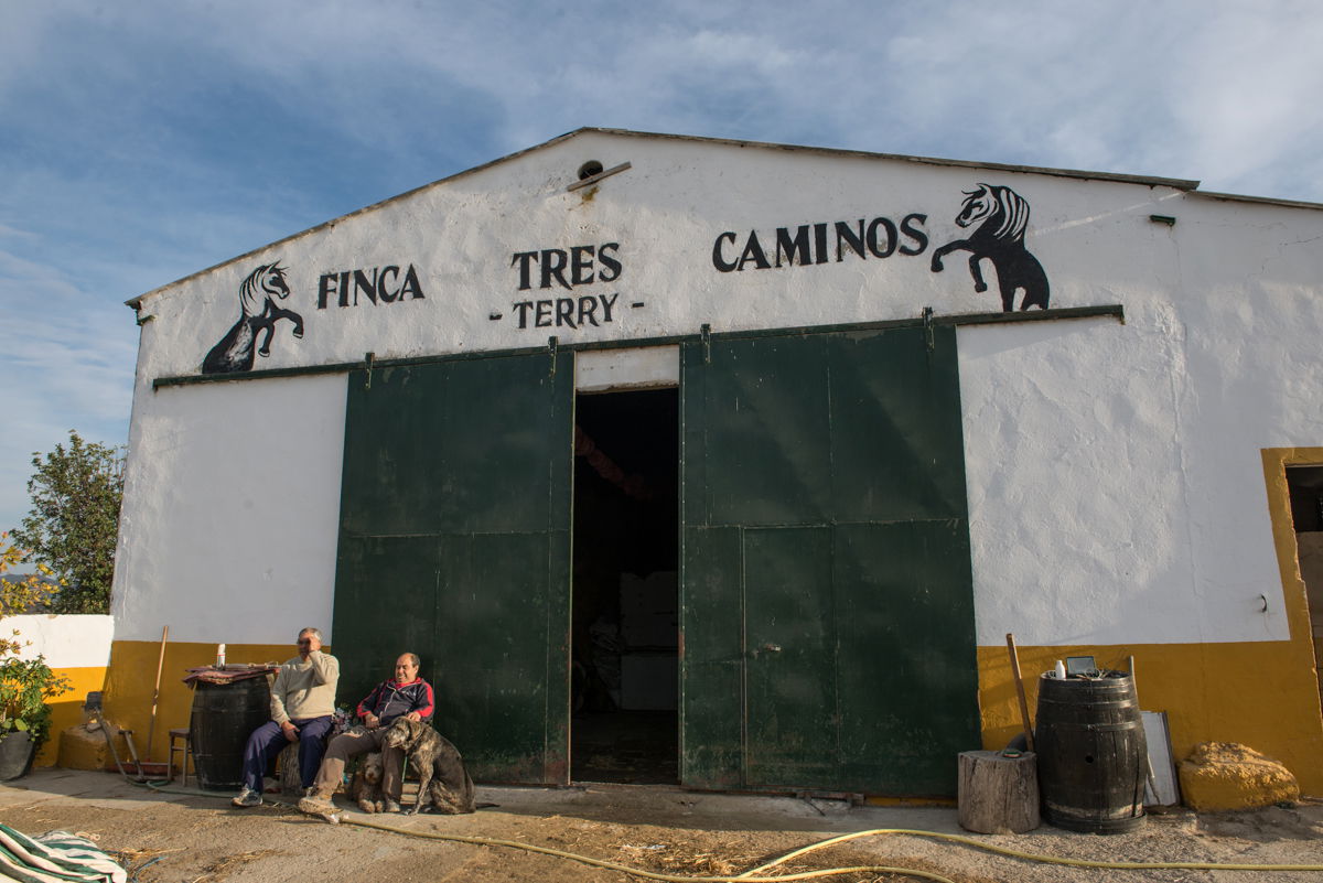 Recorrido a Caballo por el Tajo del Águila, por Ignacio Izquierdo