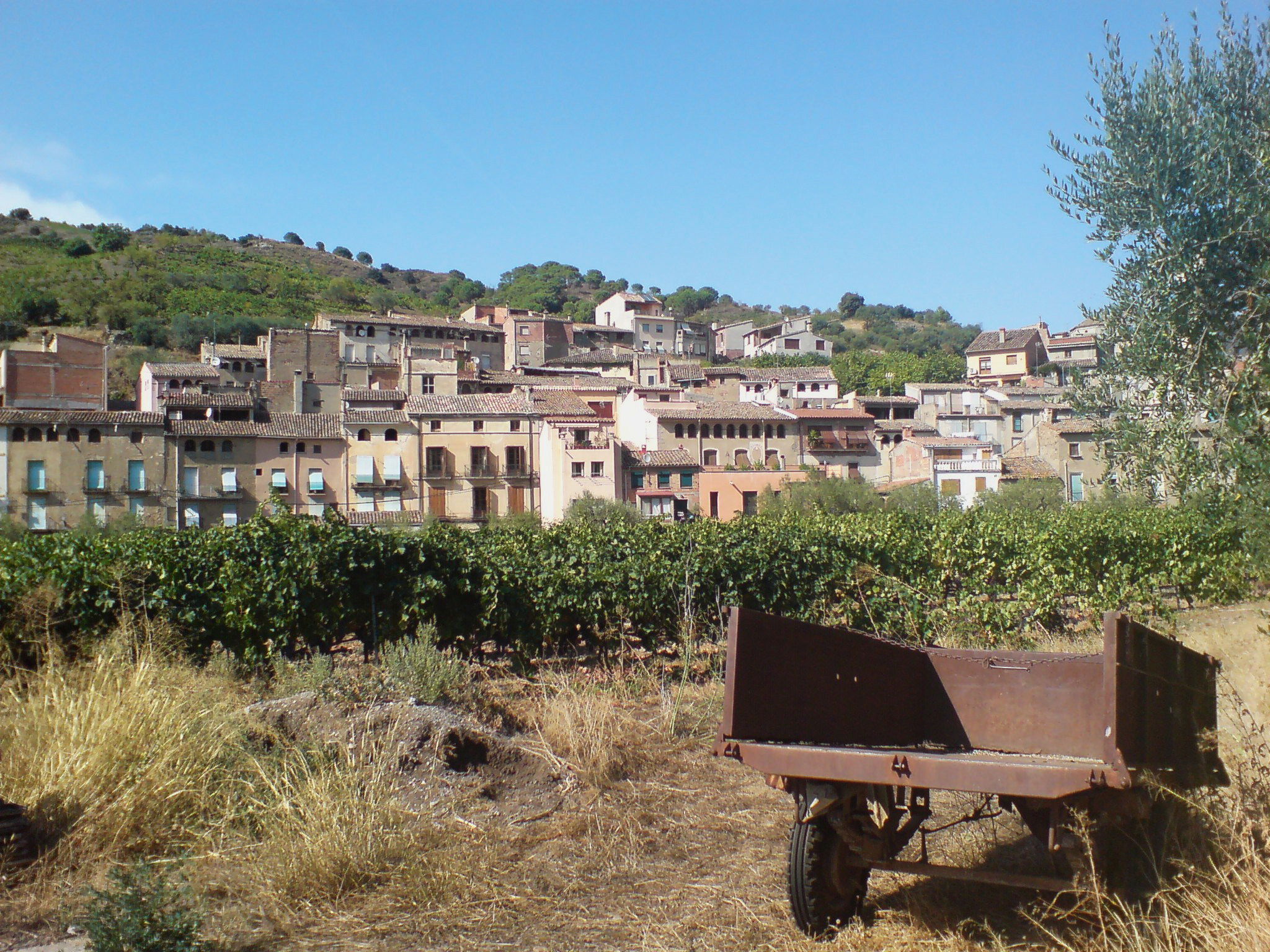 Porrera por Dónde vamos Eva