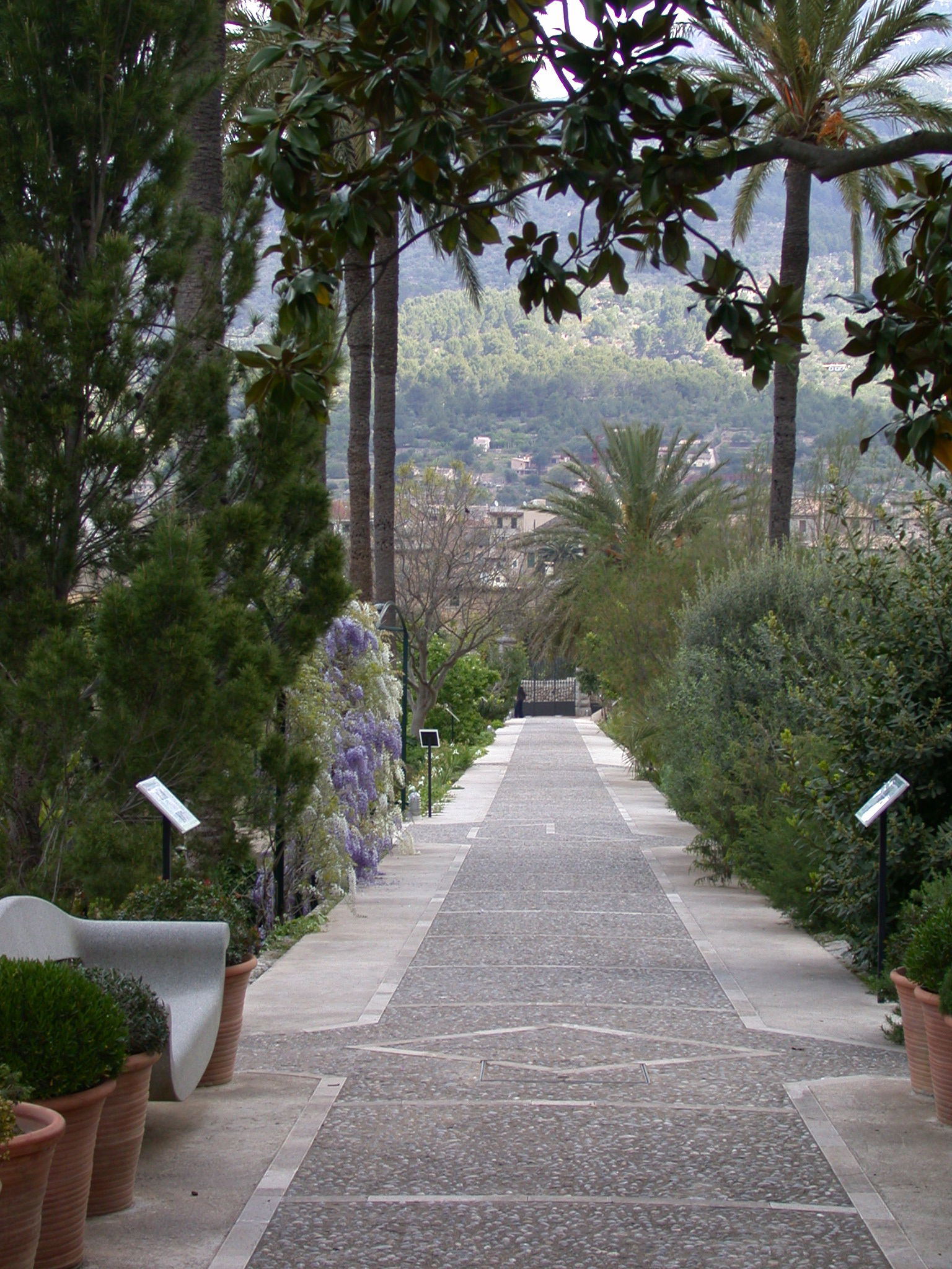 Jardín Botánico de Sóller, por Magdalena Vicens