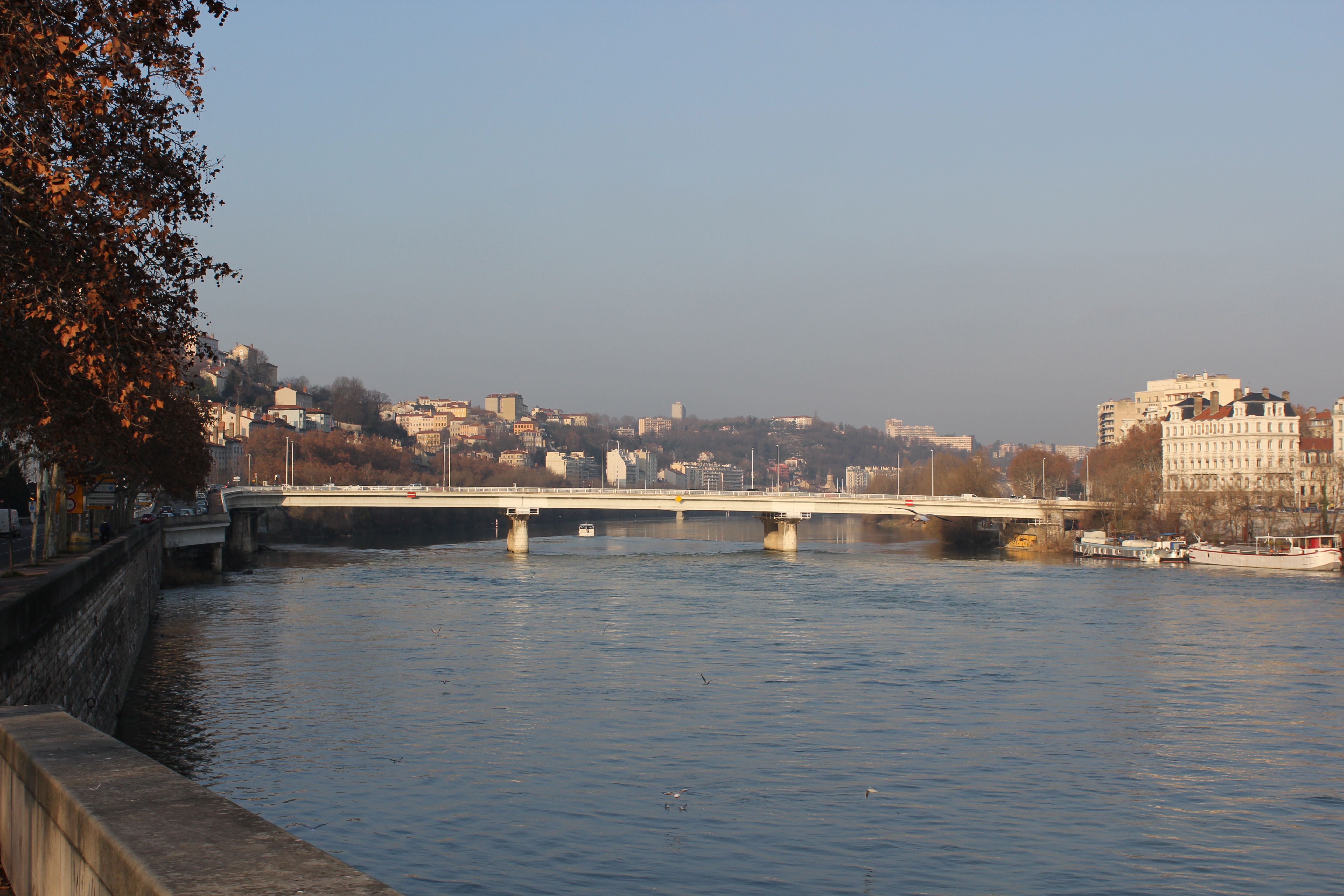 Puente de Lattre de Tassigny, por Antoine