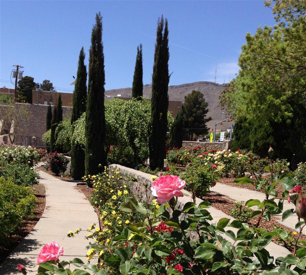 Jardín Municipal de Rosas de El Paso en El Paso: 2 opiniones y 9 fotos
