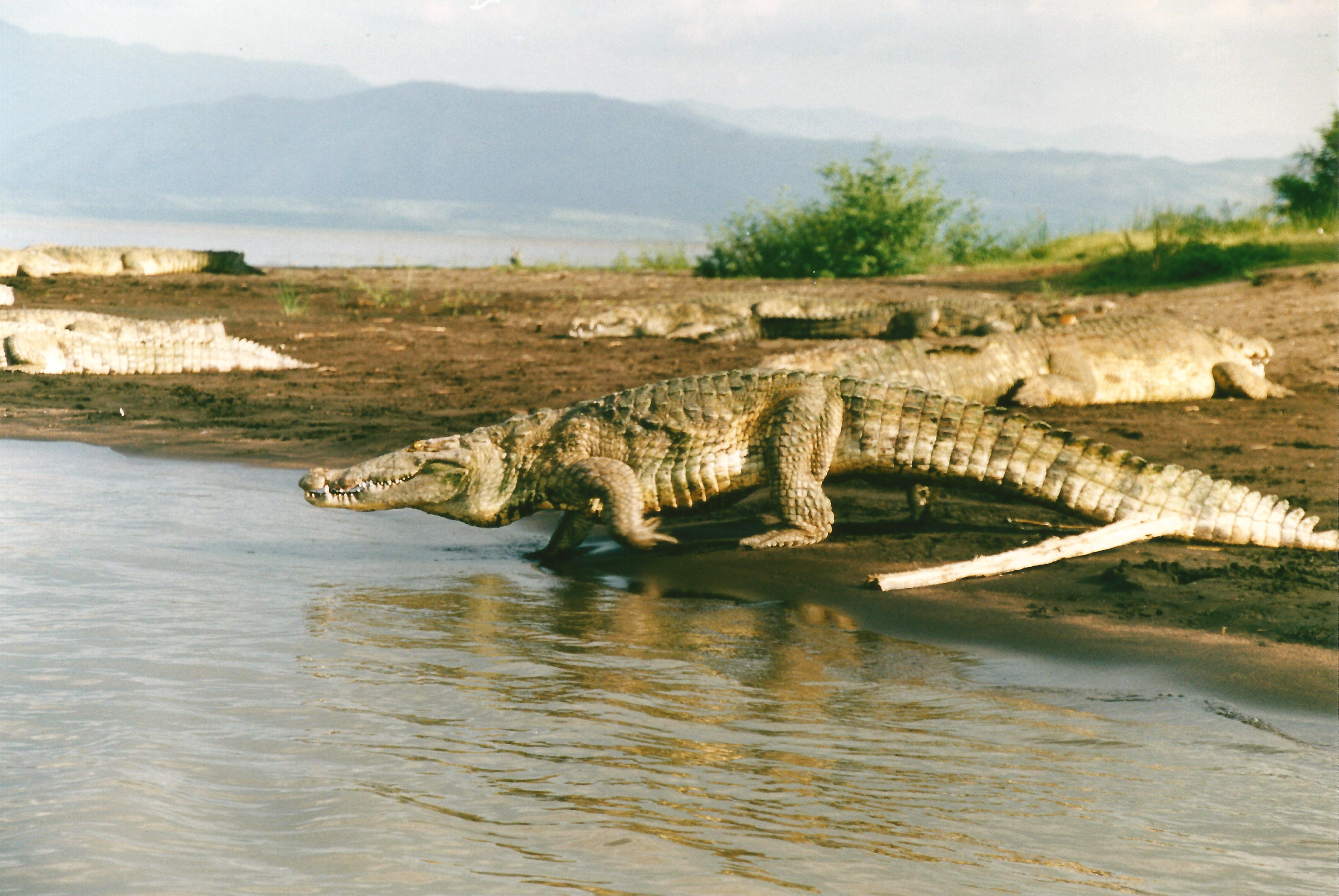 Lago Chamo, por E.Sonia Requejo Salces