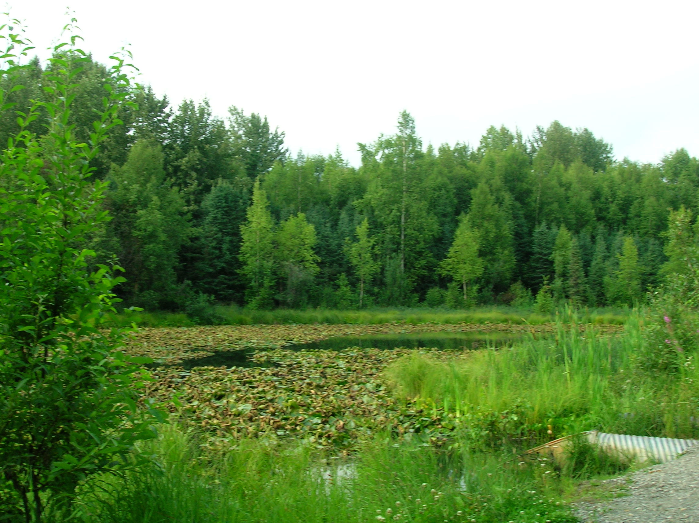 Pamela Joy Lowry Memorial Park, por Grace Anderson