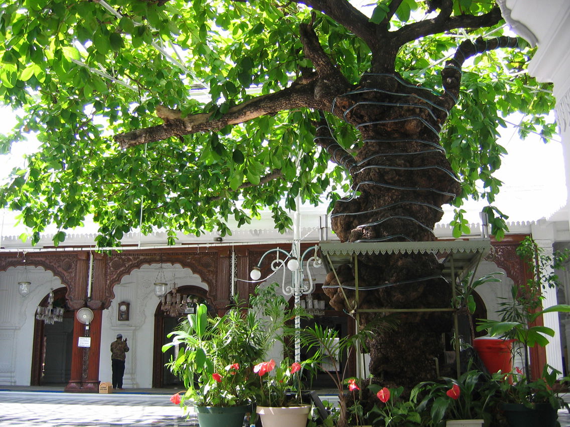 Jummah Masjid, por Claudia 