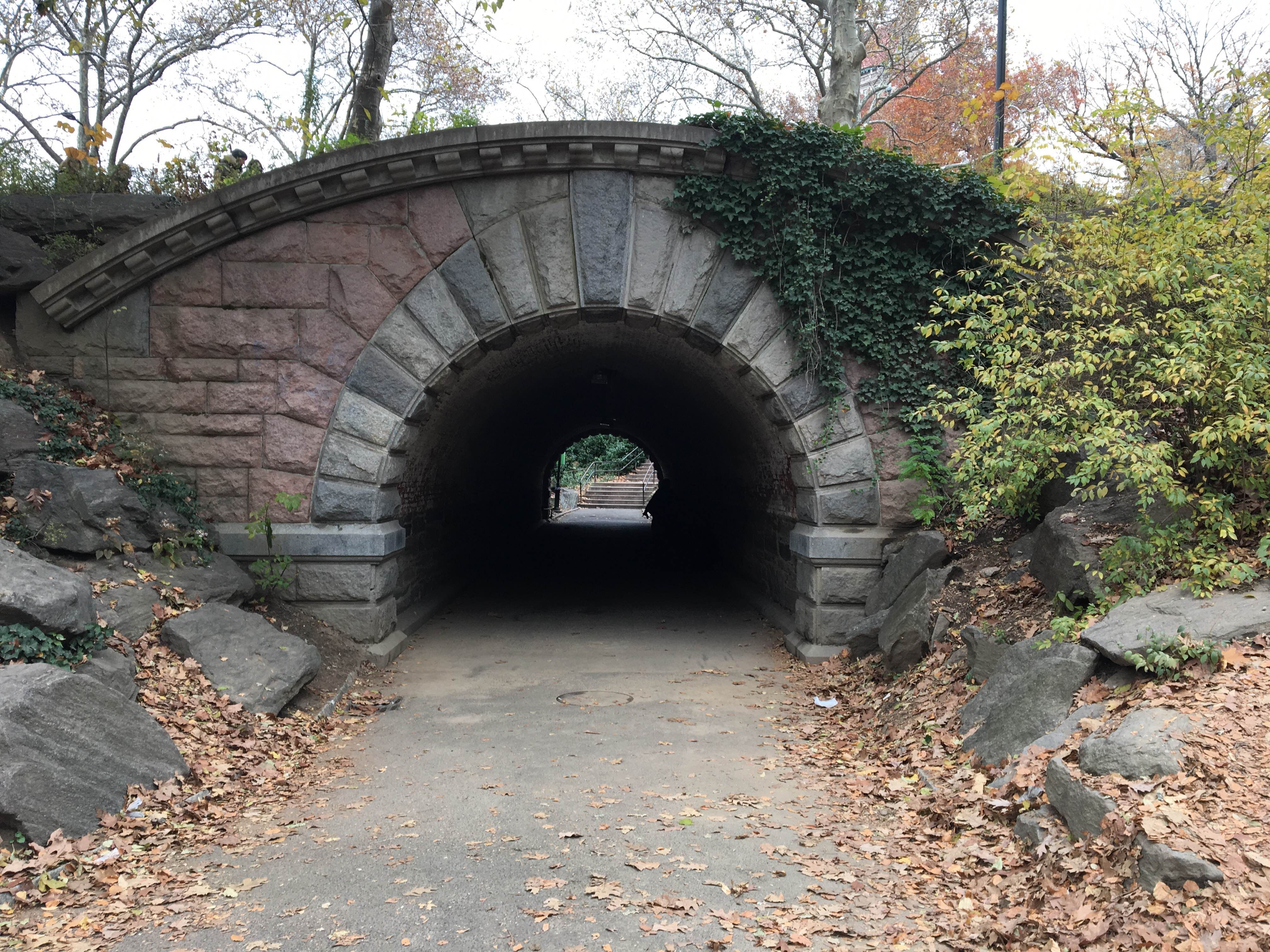 Lago del Central Park, por veronica cerdan
