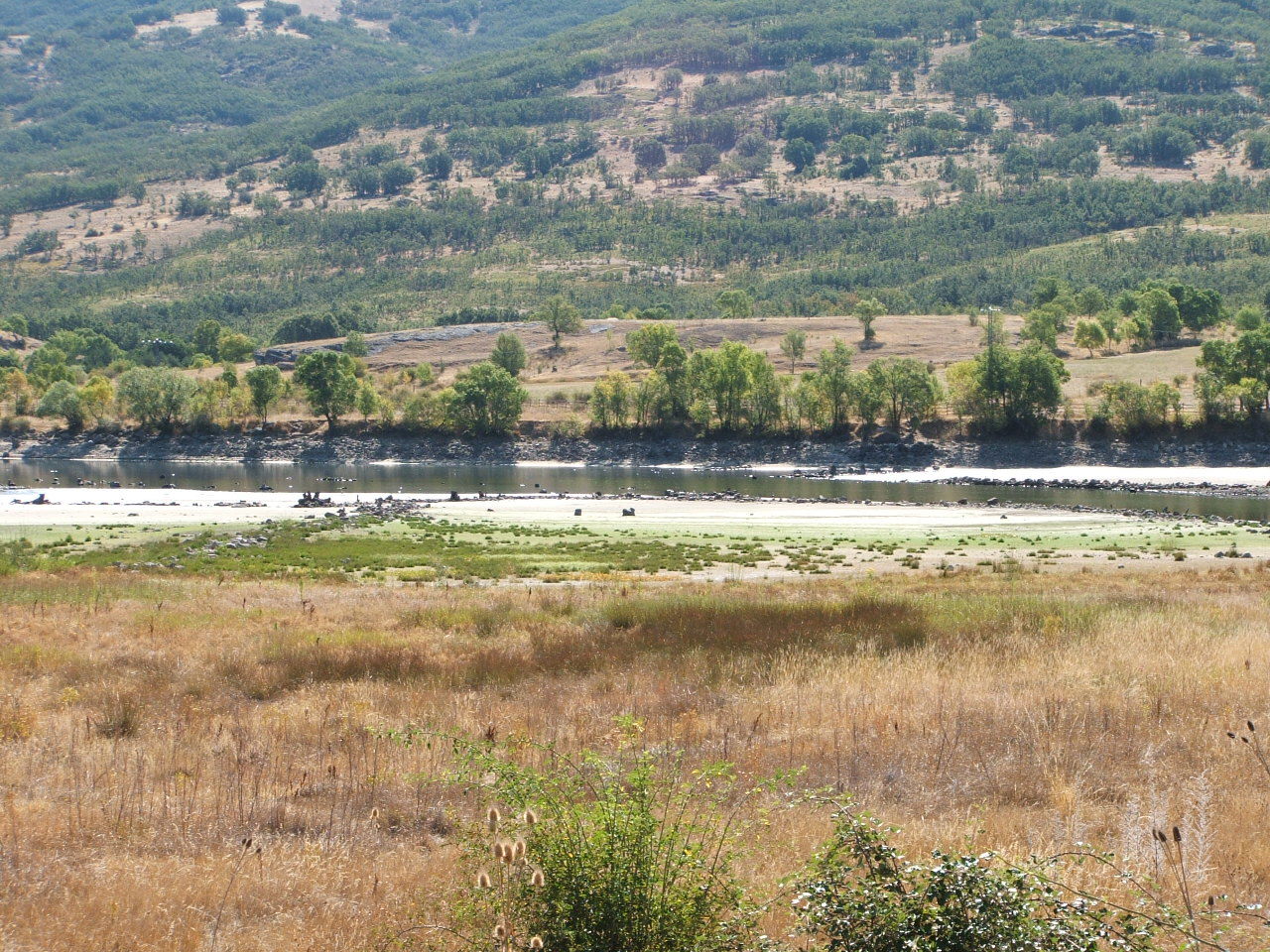 Presa de la Pinilla, por lind