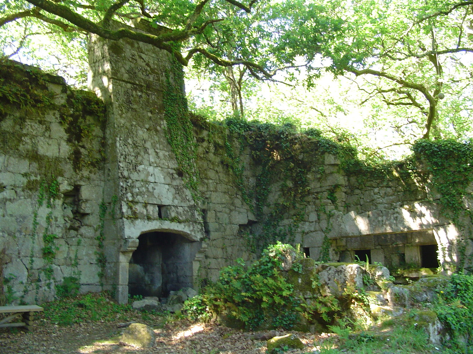 Bosque Castaños en parador Santo Estevo, por Estela Lull (Hatsue)