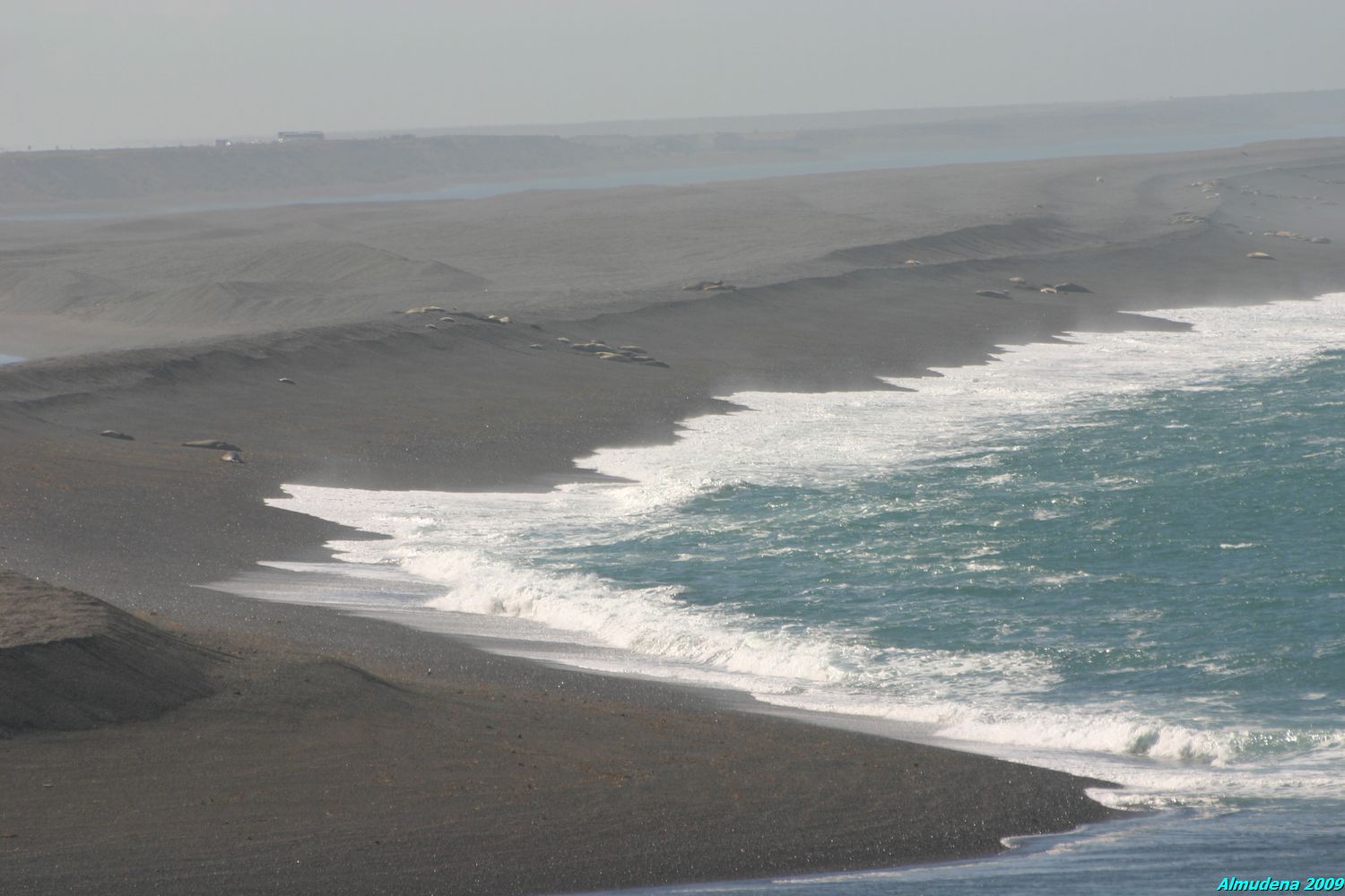 Caleta Valdés, por Almudena