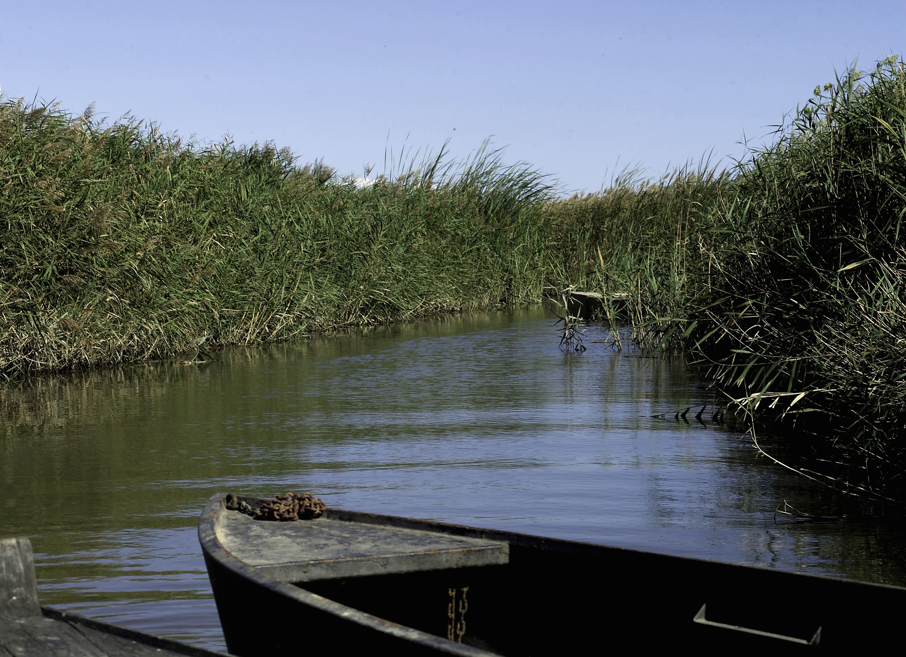 Laguna de les Olles, por L'Ampolla