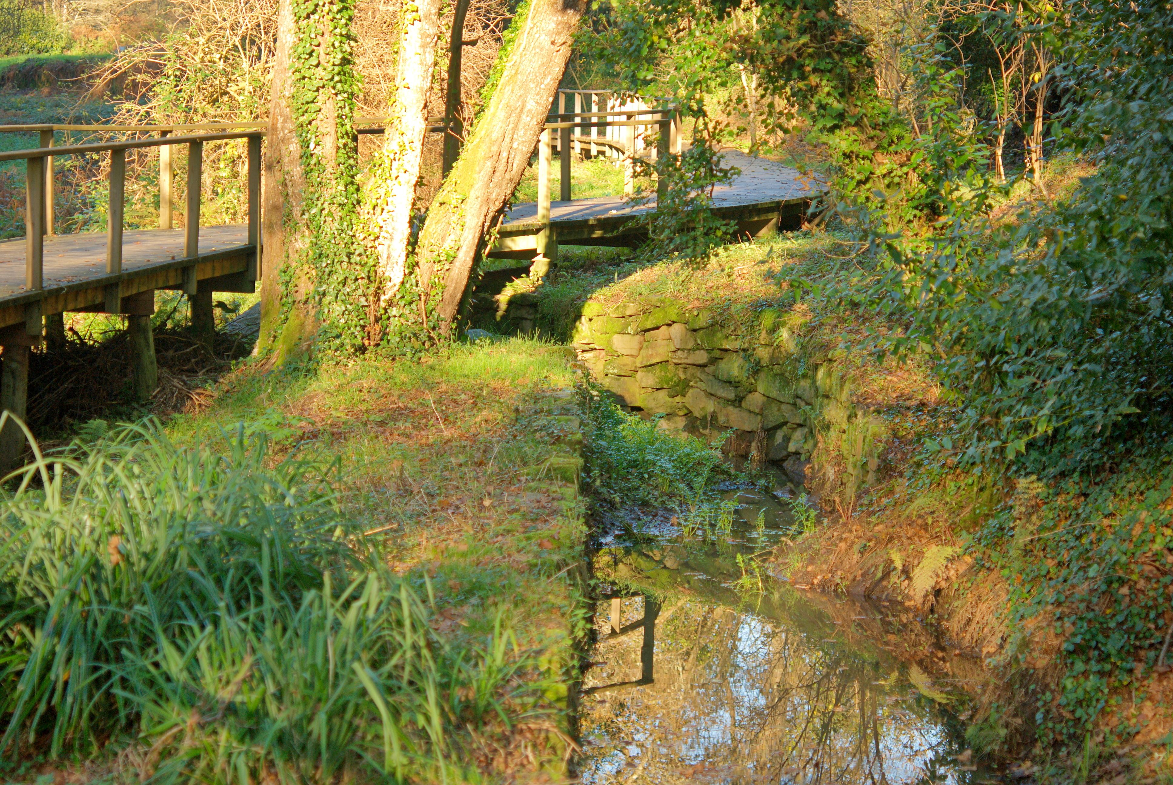 Río Sarela, por Grancalili