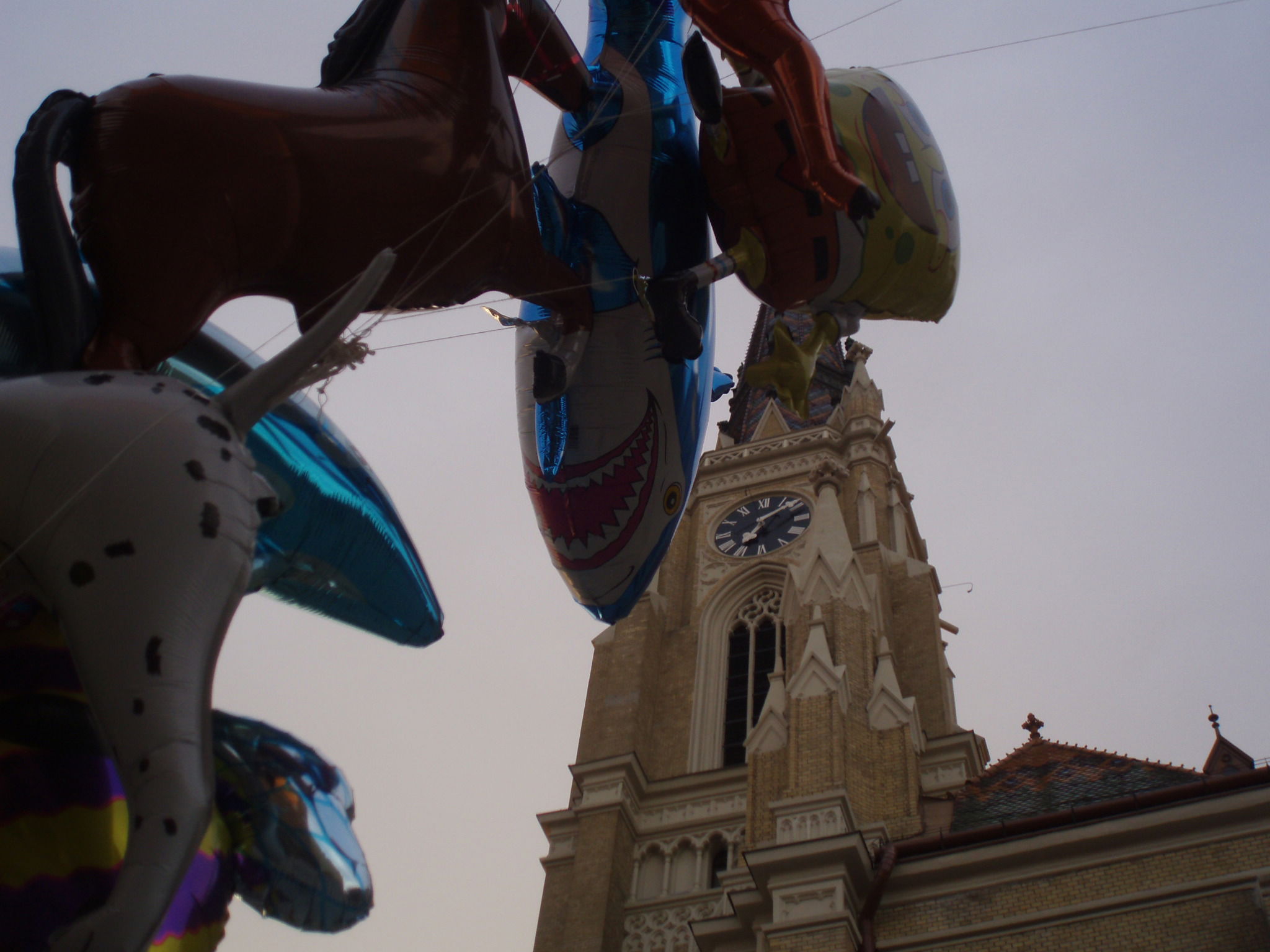 Catedral de Novi Sad, por Lna