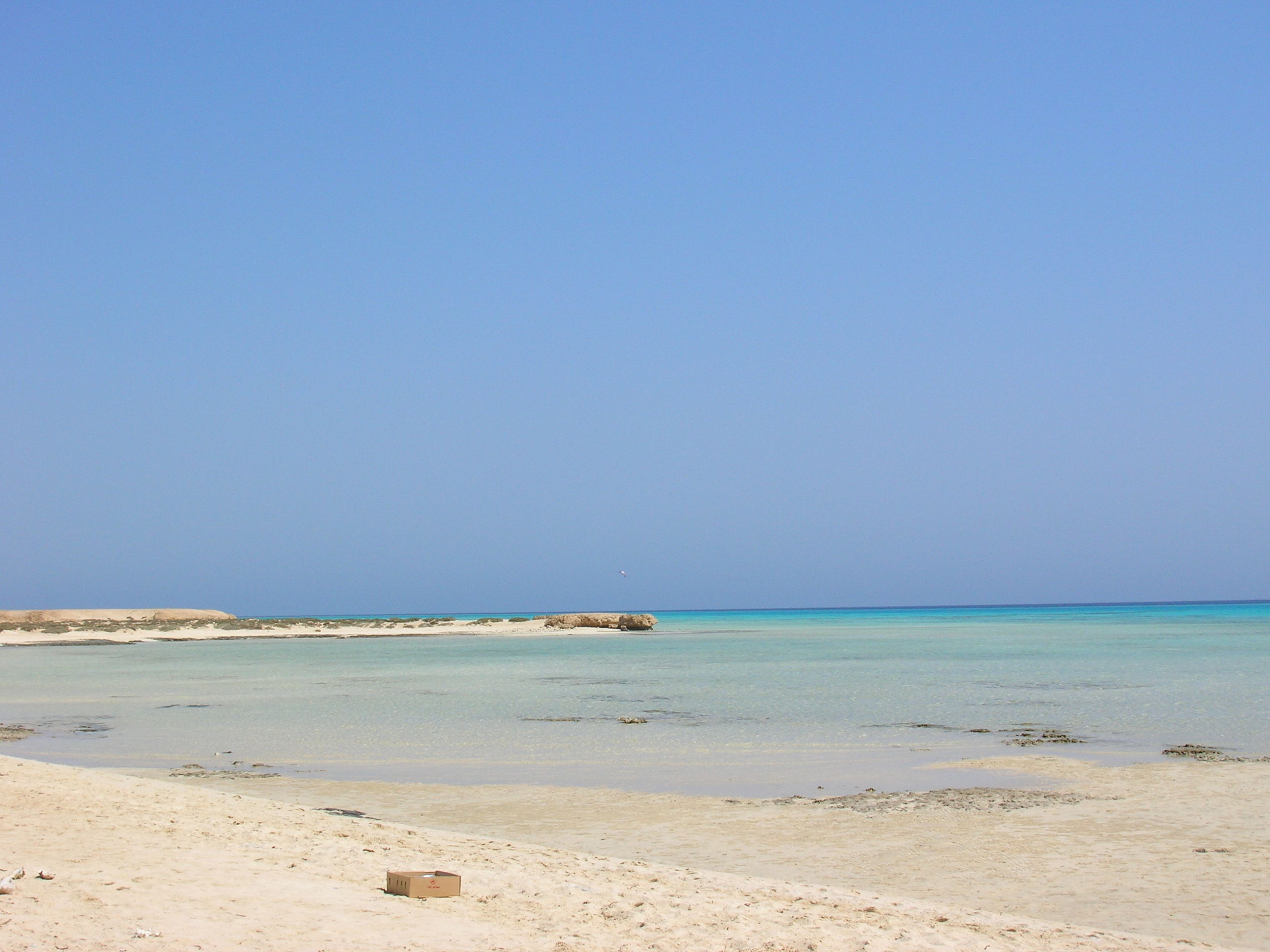 Marsa Alam, por laura tenebrosi