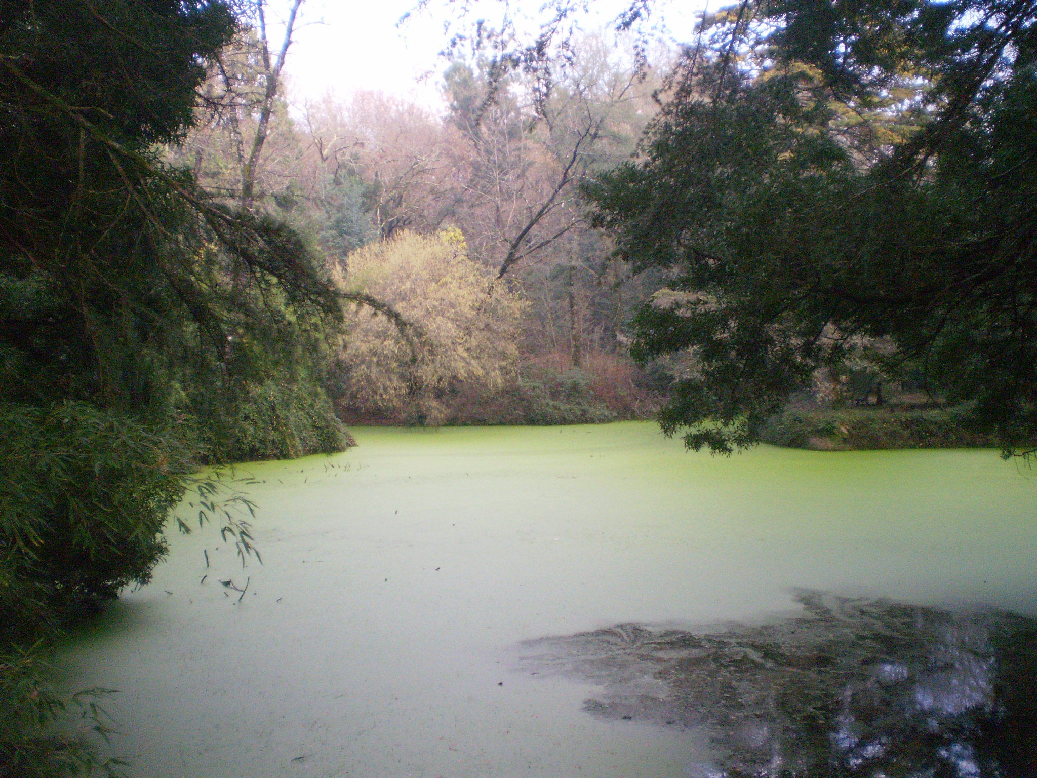 Lagoa da Brejoeira, por Sasa72
