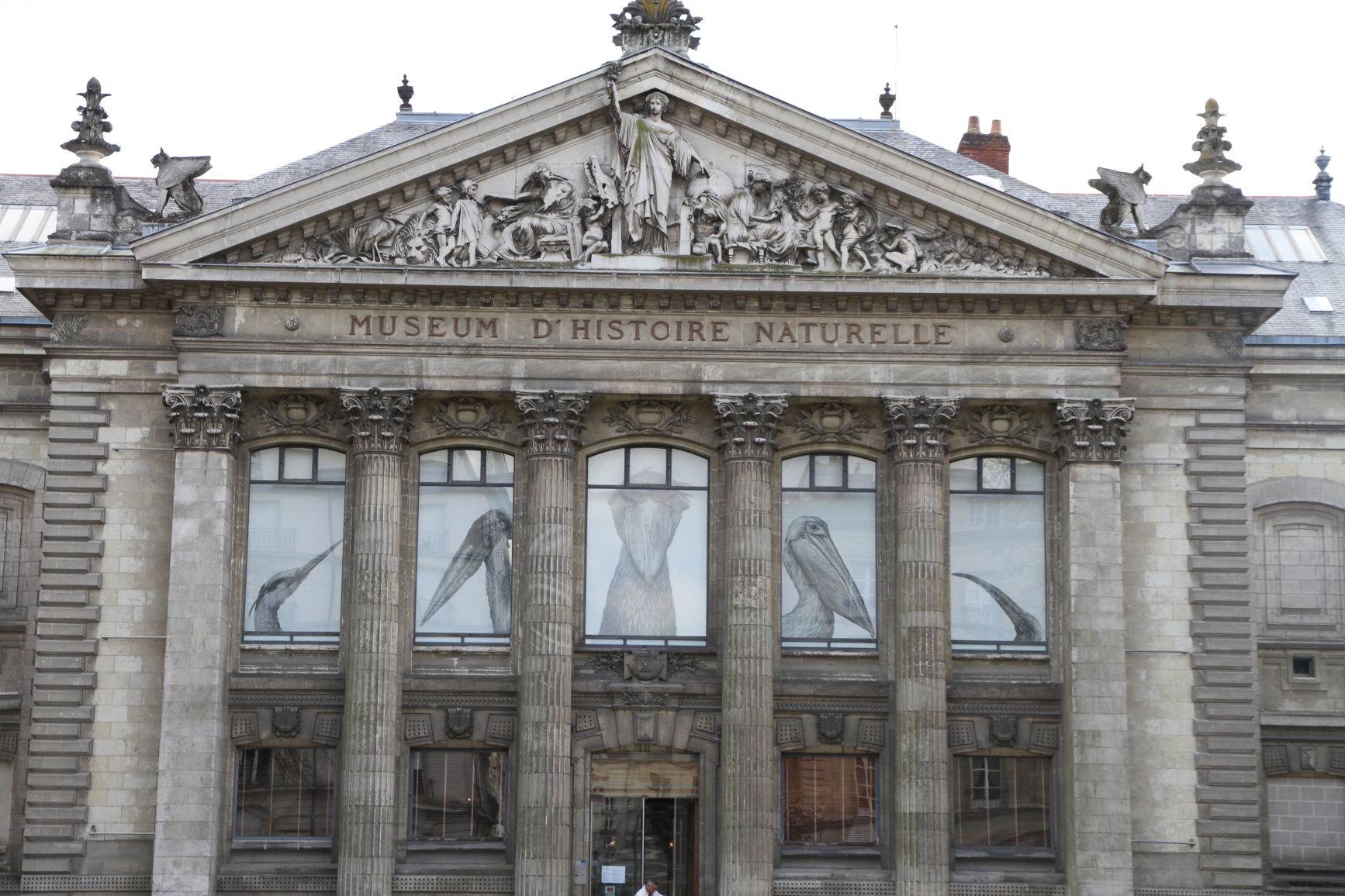 Museo de Historia Natural, por ANADEL