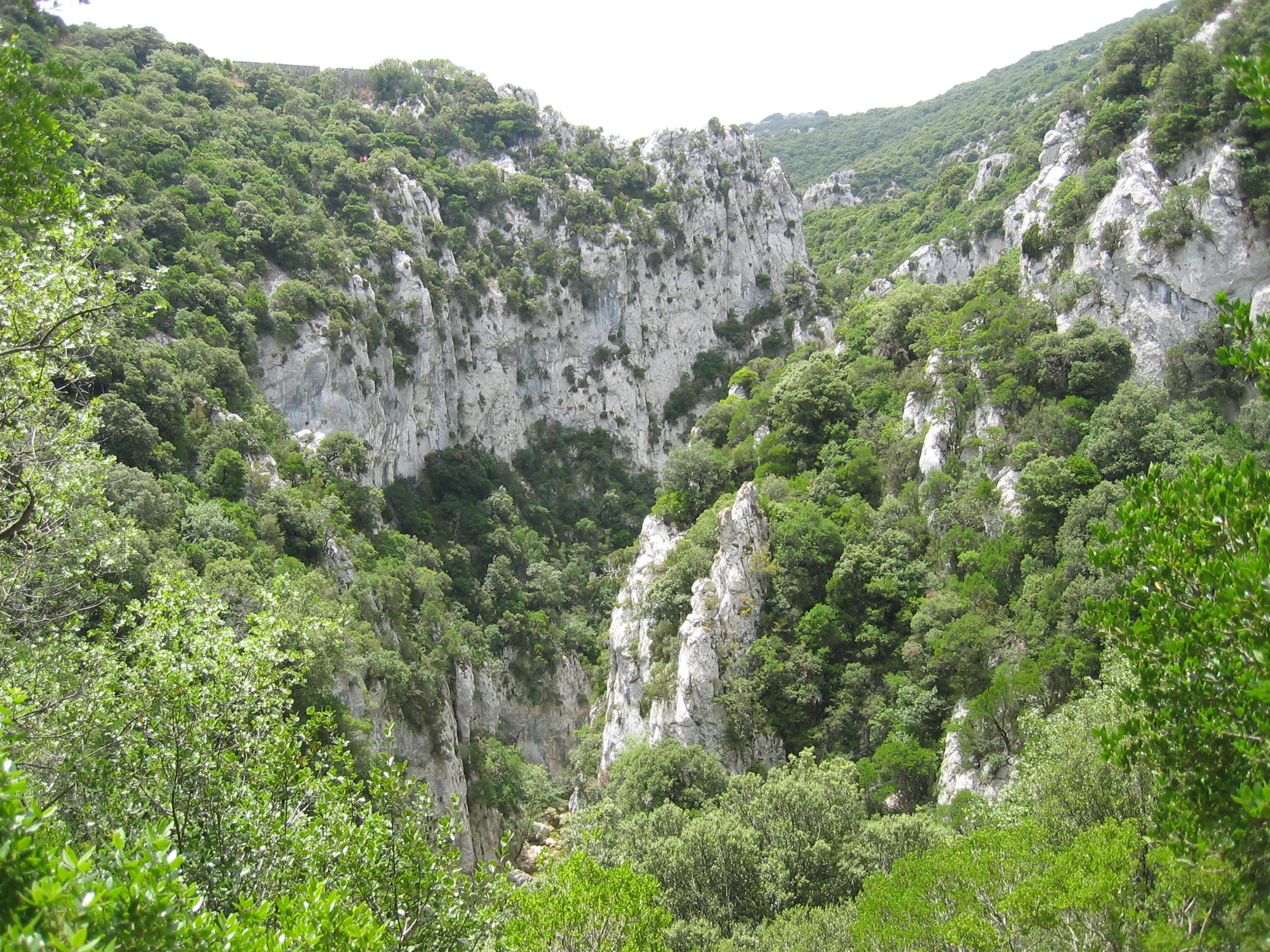 Valle de Cathare, por Noël Colassin