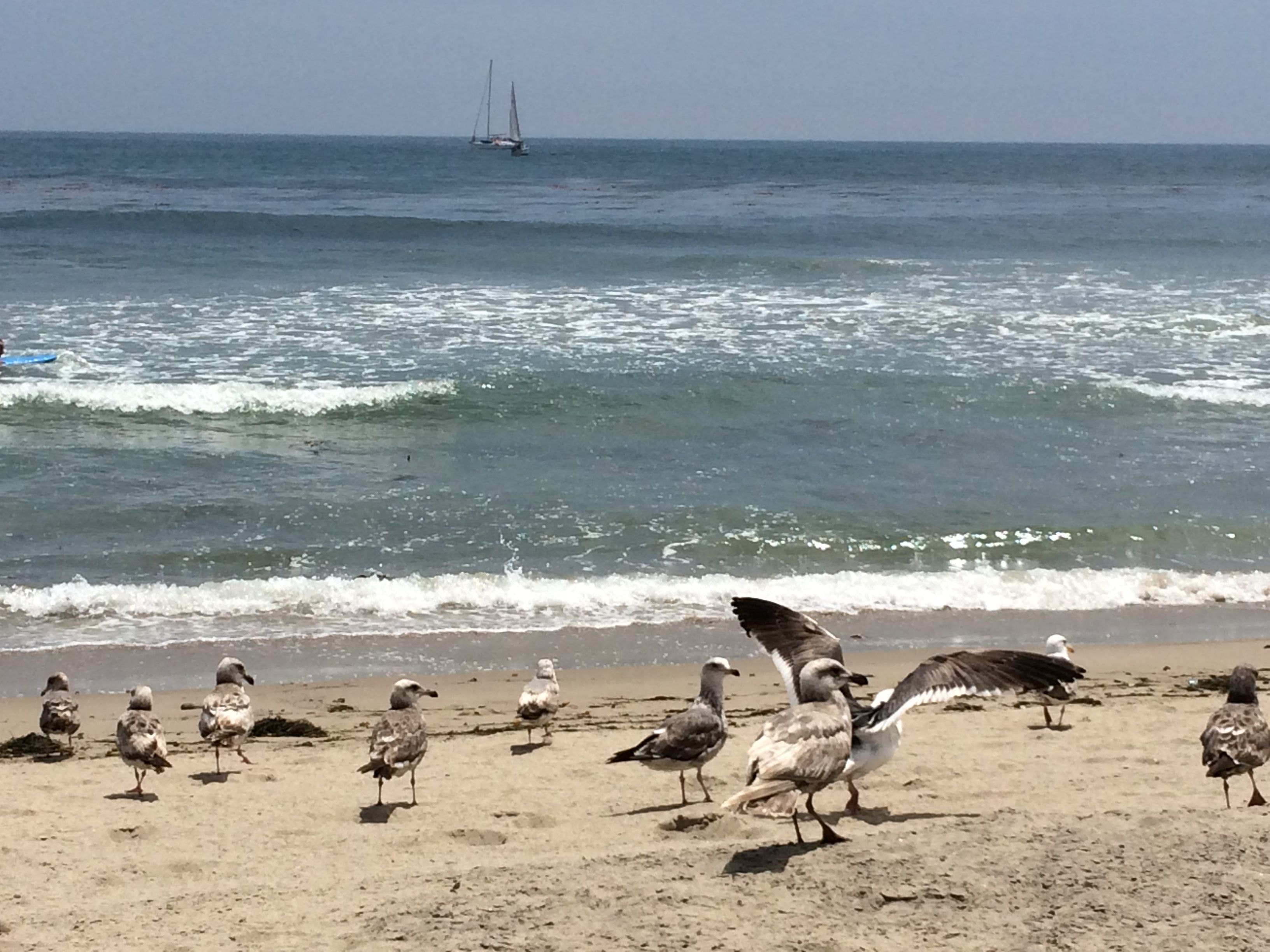 Topanga State Beach, por FANNY LESPRIT