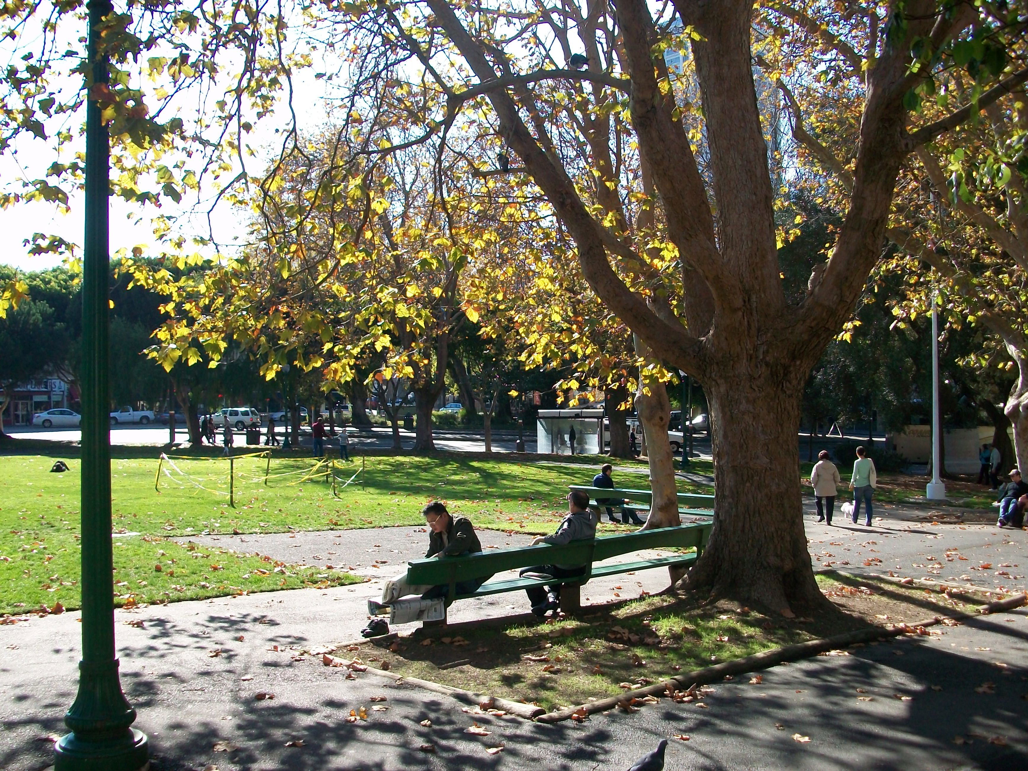 Washington Square, por Coline