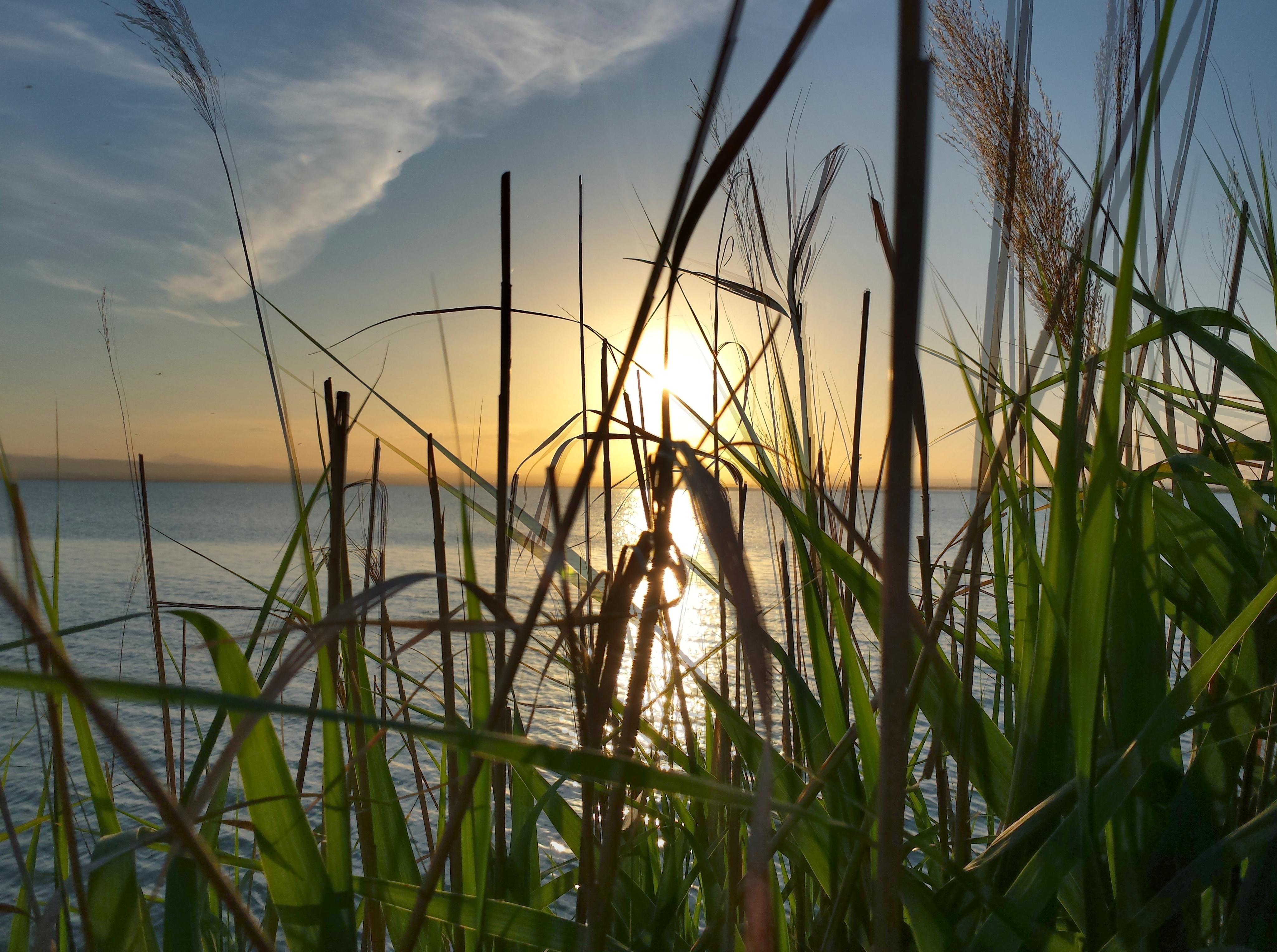 Mirador de la Albufera, por paco dro