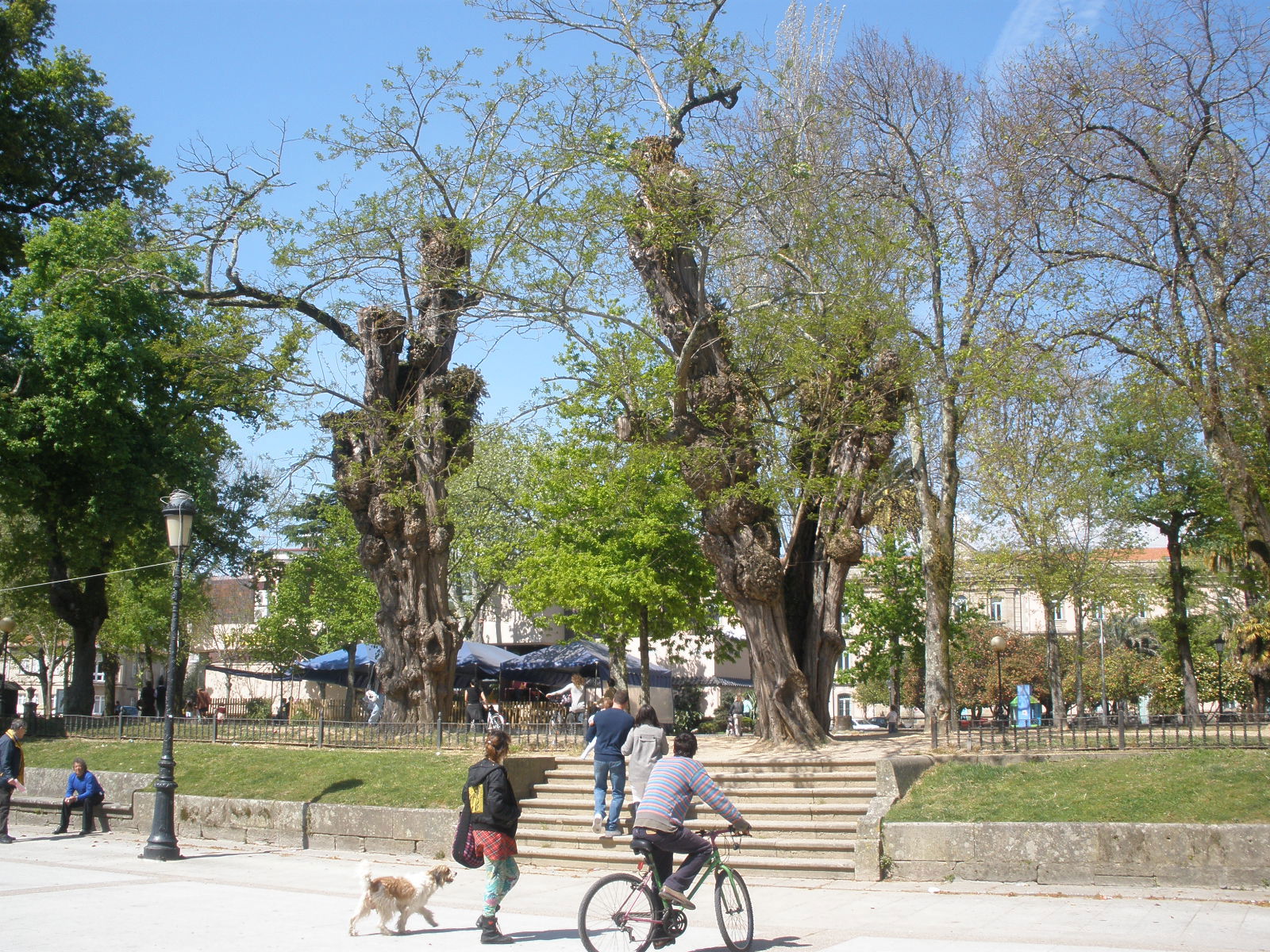 Alameda del Arquitecto Sesmeros, por mmozamiz
