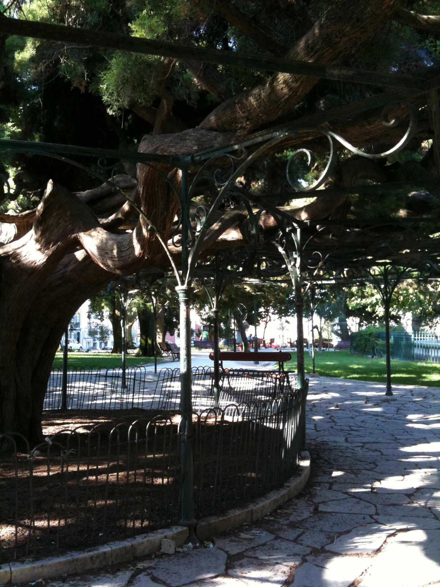 Jardín de Príncipe Real, por Experidys