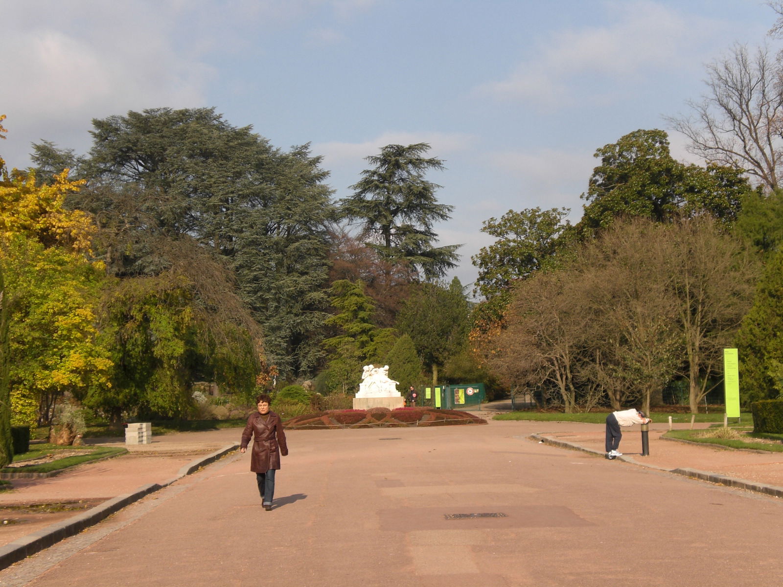 Jardín botánico, por guanche