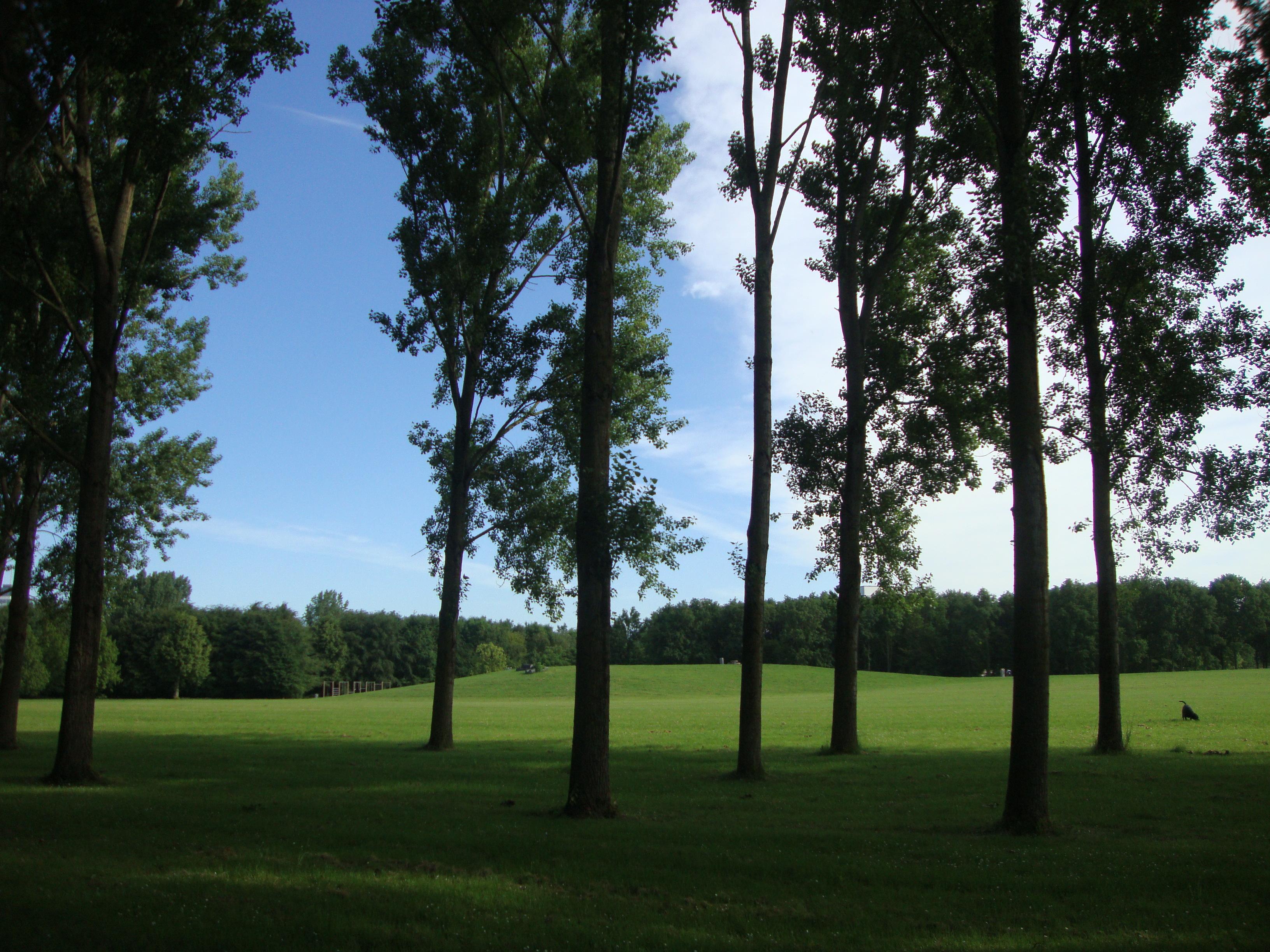 Lumièrepark, por Helena Compadre