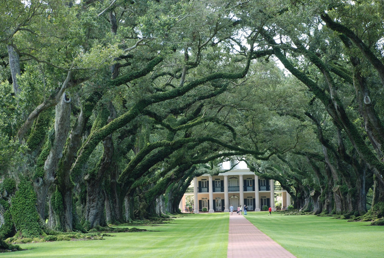 Oak Alley Plantation, por javier